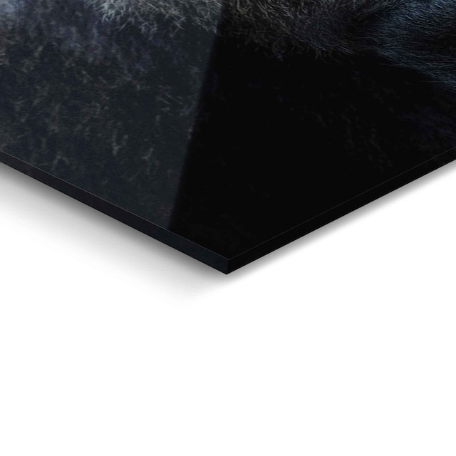 Reinders! Glasbild »Glasbild Gorilla Affe - Kräftig - Nachdenklich«, Affen,  (1 St.) bestellen | BAUR