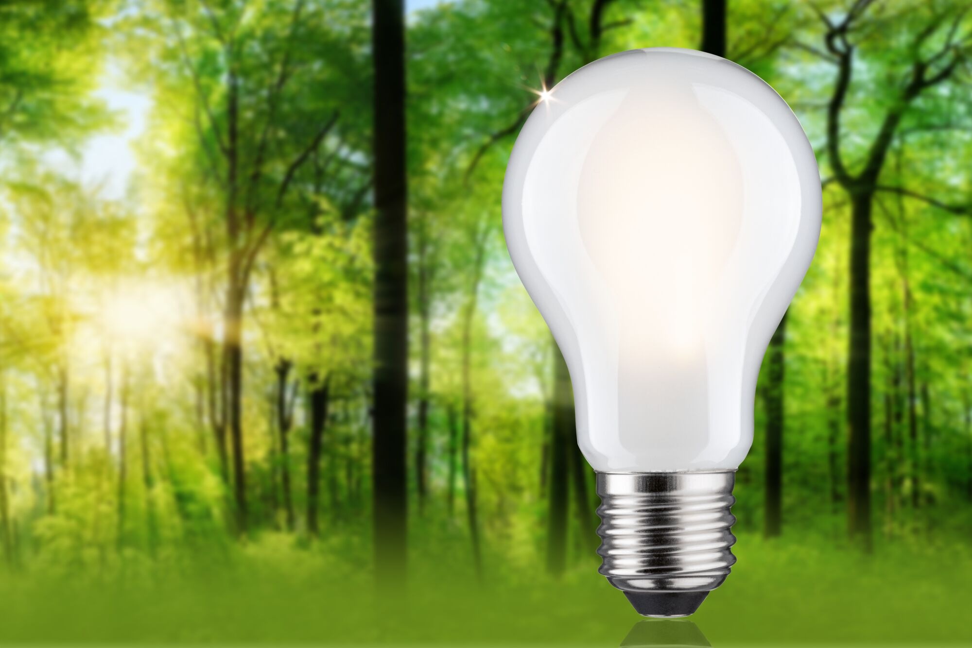 Paulmann LED-Leuchtmittel »Eco-Line Filament 230V LED Birne E27 806lm 4,3W 3000K dimmbar Matt«, E27, 1 St., Warmweiß