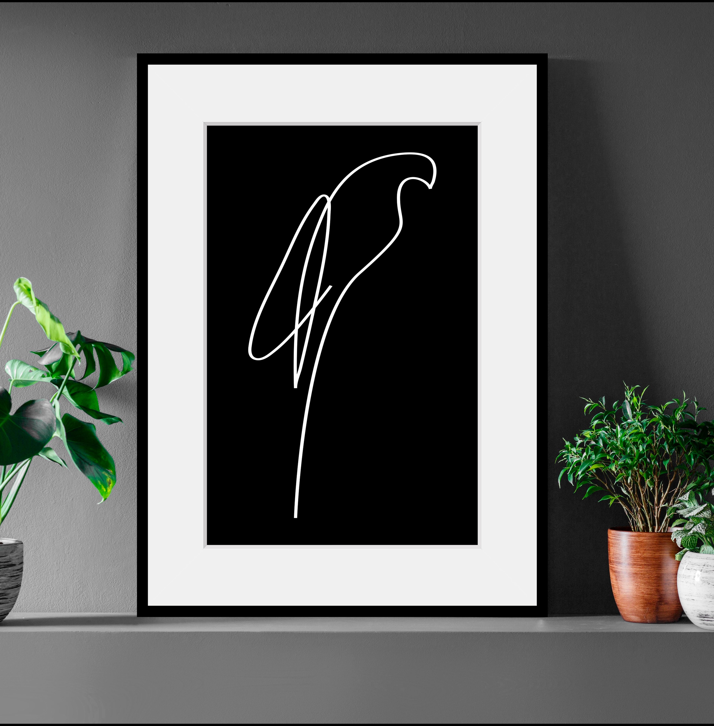 queence Bild "Julian", Schwarz-Weiß-Kunst-Modern-Vögel-Vogelbilder-Papageie günstig online kaufen