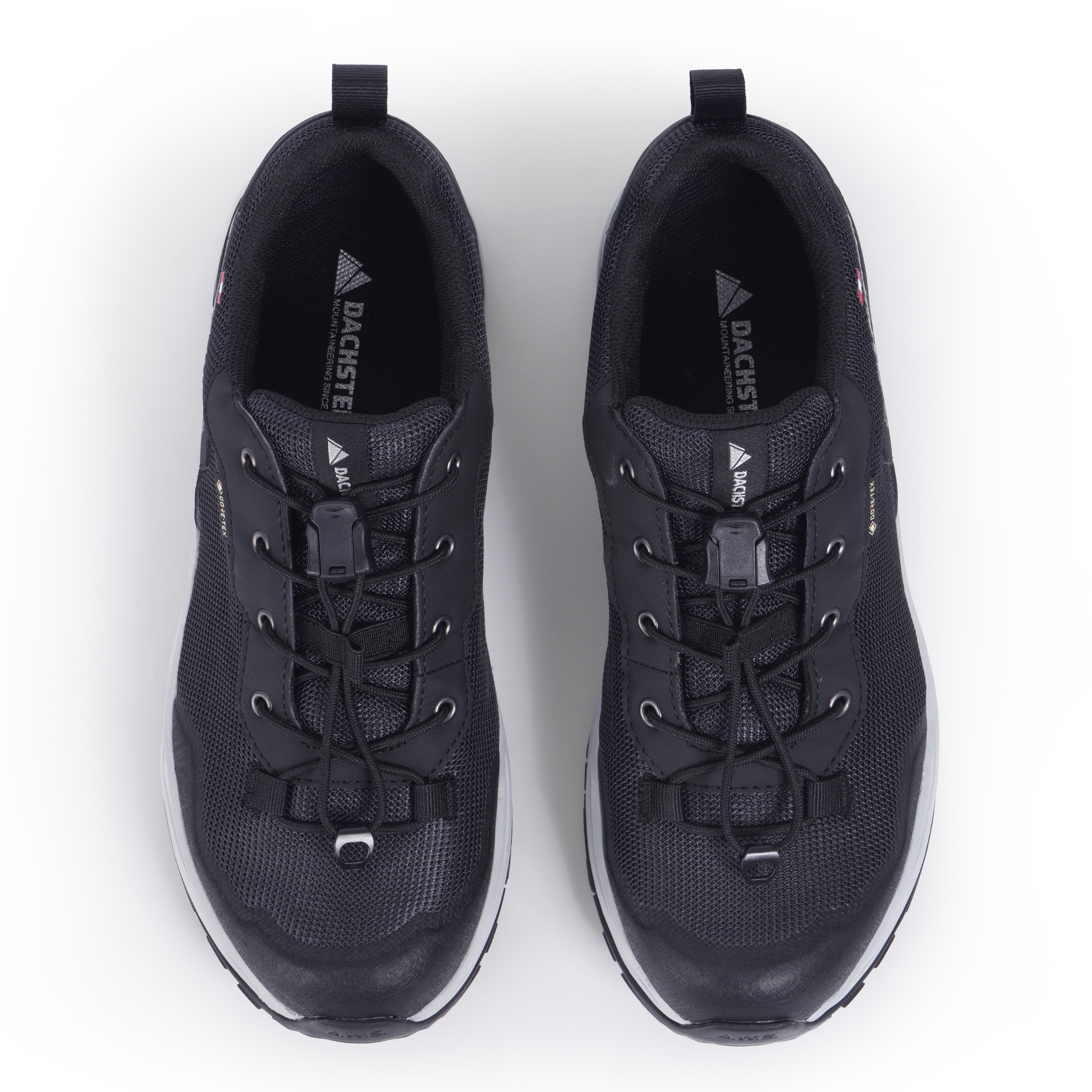 Dachstein Wanderschuh »DELTA ASCENT GTX WMN«, wasserdicht
