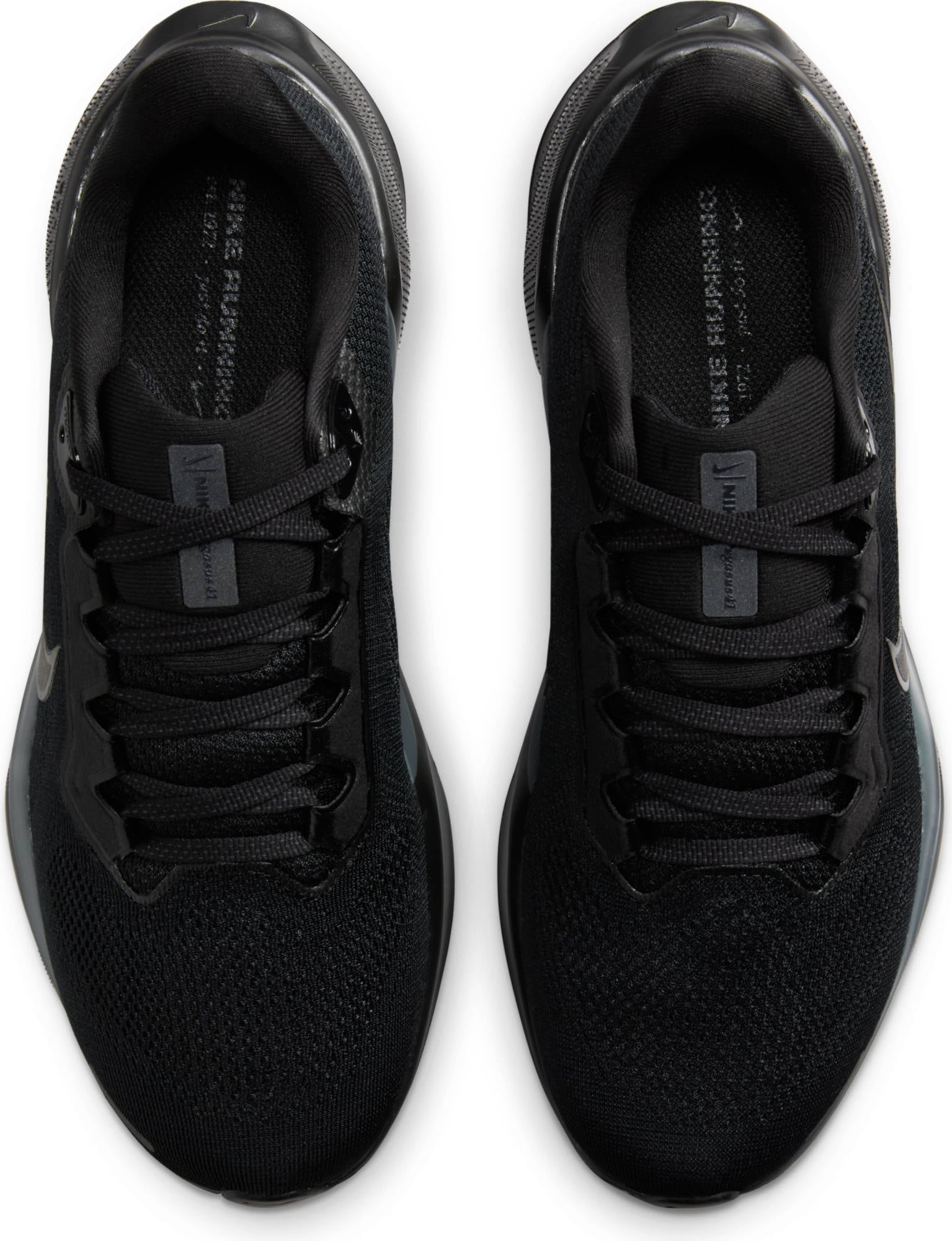 Nike Laufschuh »Pegasus 41«