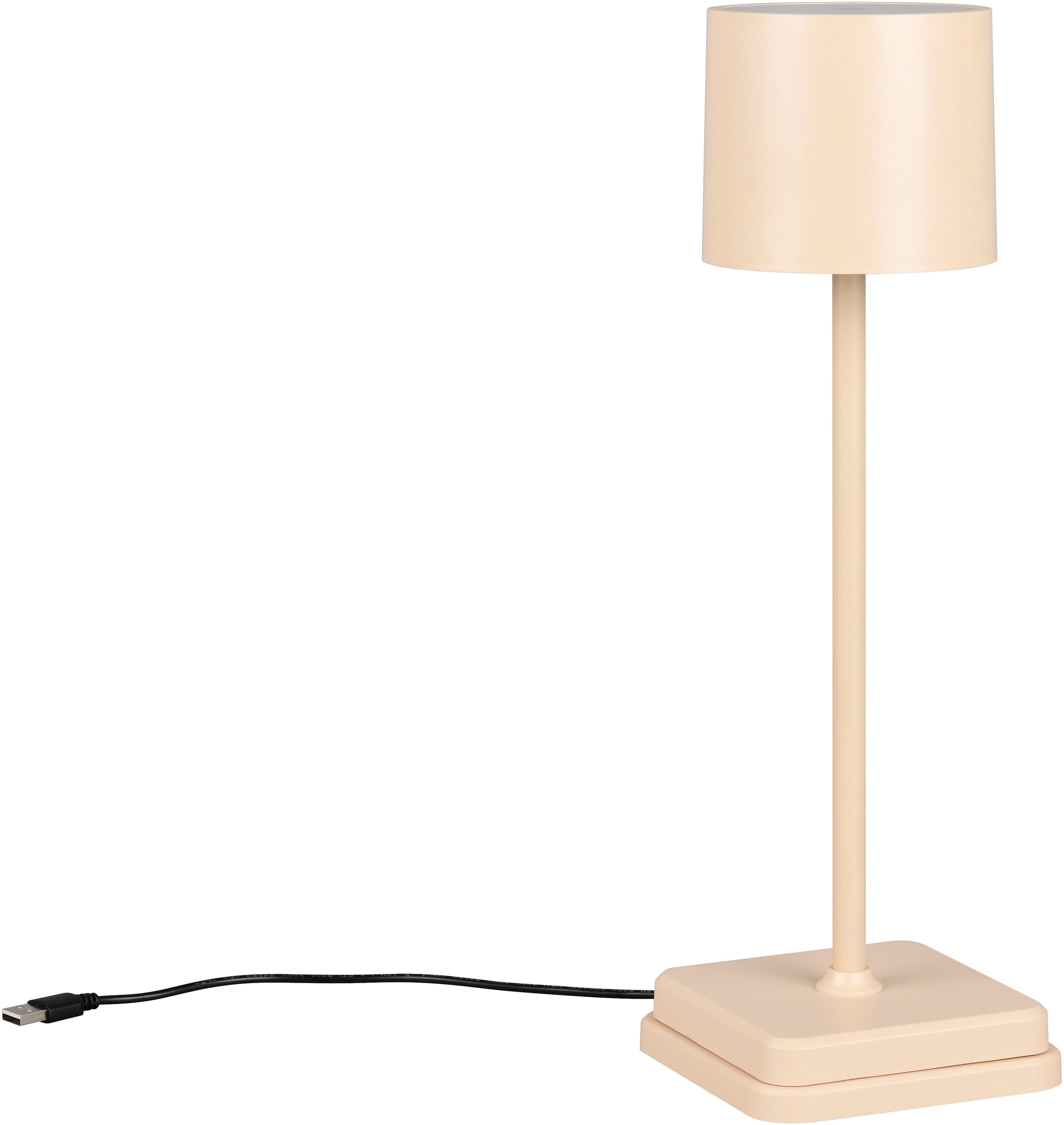 REALITY Leuchten »Fernandez« LED-Board 1 Stk. Farbwechsler | warmweiß - kaltweiß Garten Akku Tischlampe USB Ladestation dimmbar Lichtfarbe einstellbar