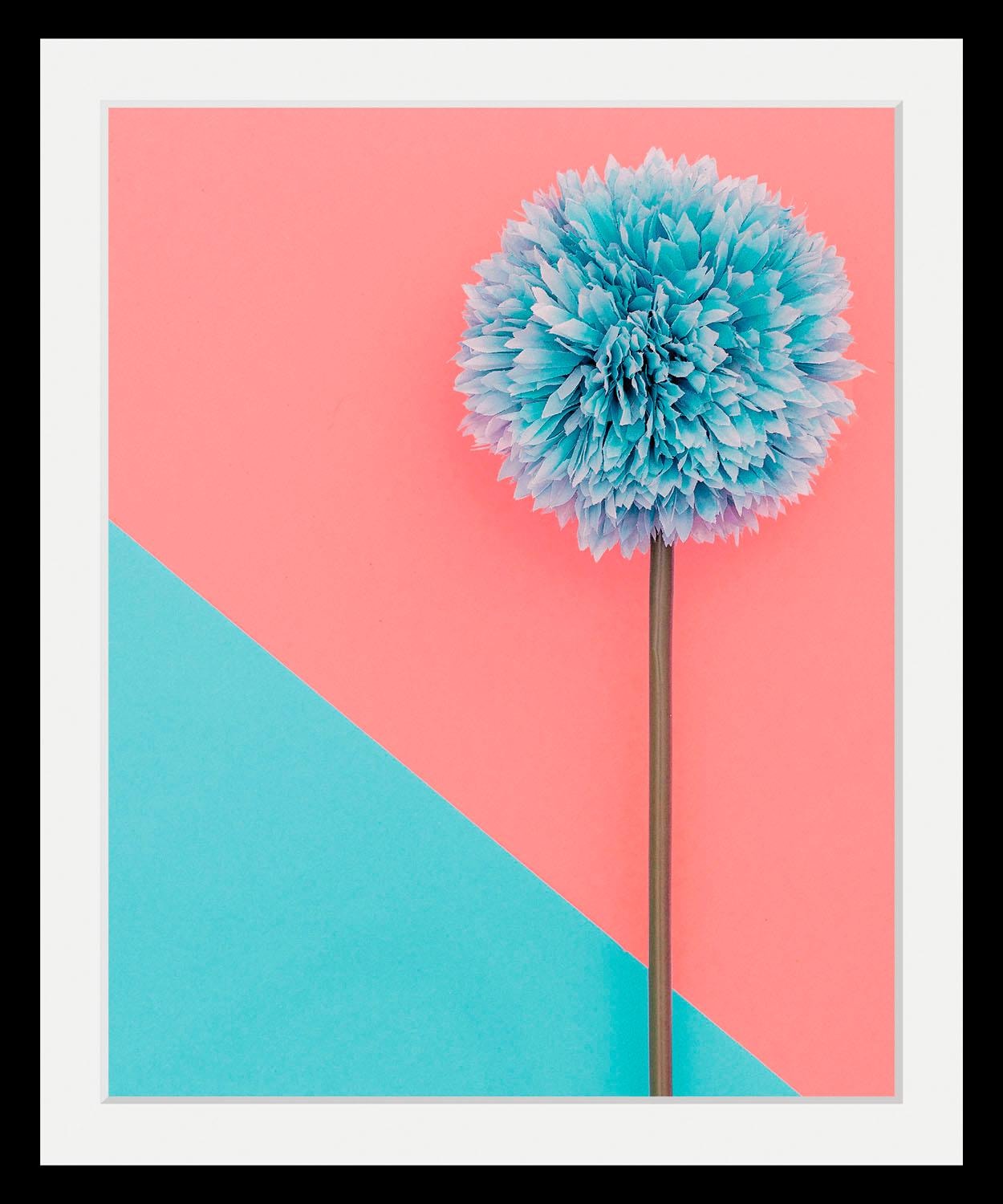 queence Bild "Pusteblume", Blumen-Blumenbilder-Pflanzen-Kunst, HD Premium P günstig online kaufen