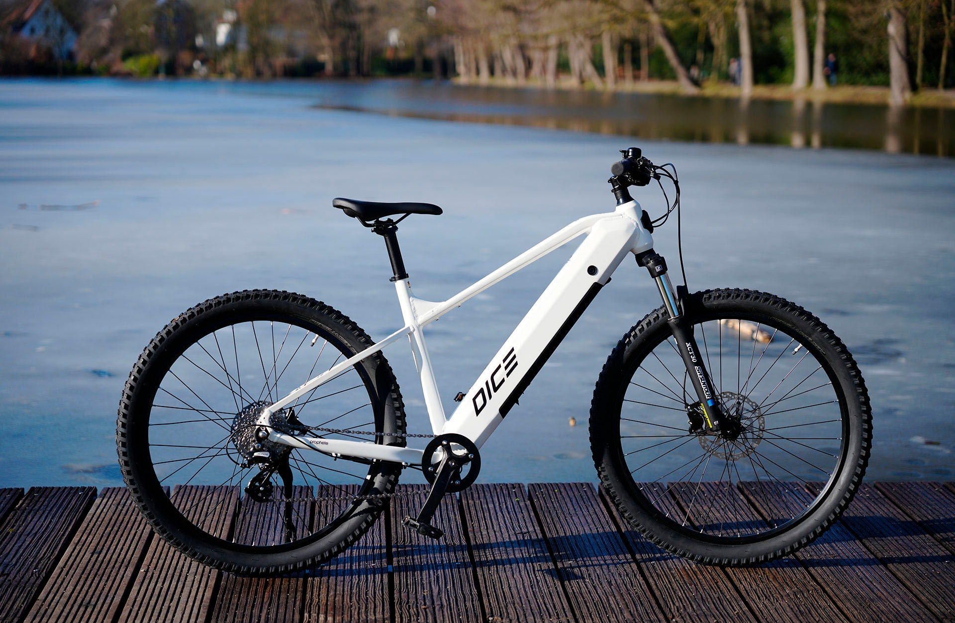 Prophete »Dice 1.8« 8 Gang Shimano Altus Schaltwerk Kettenschaltung Heckmotor 250 W