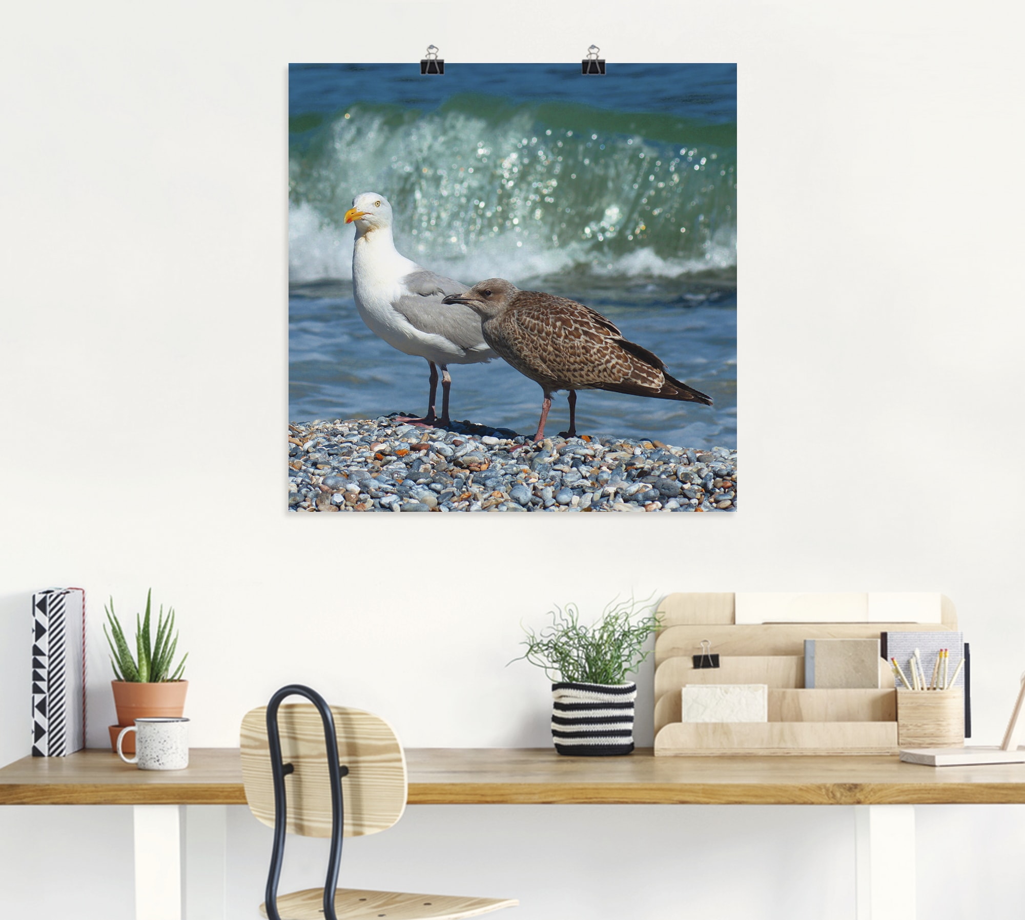 Artland Wandbild "Möwen in der Meeresbrandung", Vögel, (1 St.), als Poster, günstig online kaufen