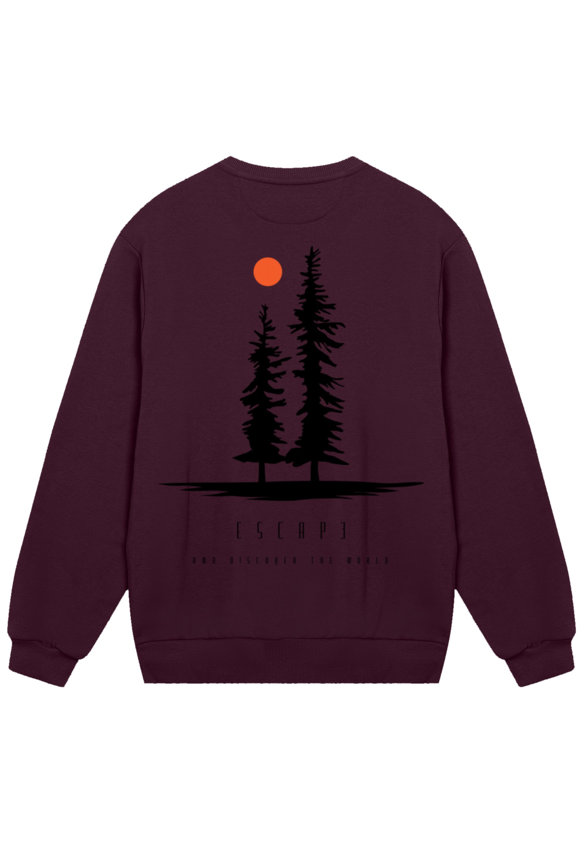 F4NT4STIC Sweatshirt »Escape Discover the World Pinetree«, Discover the World
