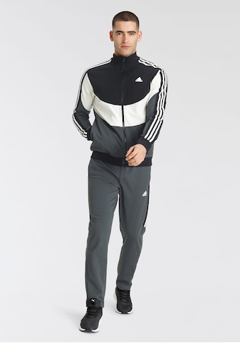 adidas Sportswear Trainingsanzug »SPORTSWEAR COLORBLOCK«, (2 tlg.) kaufen