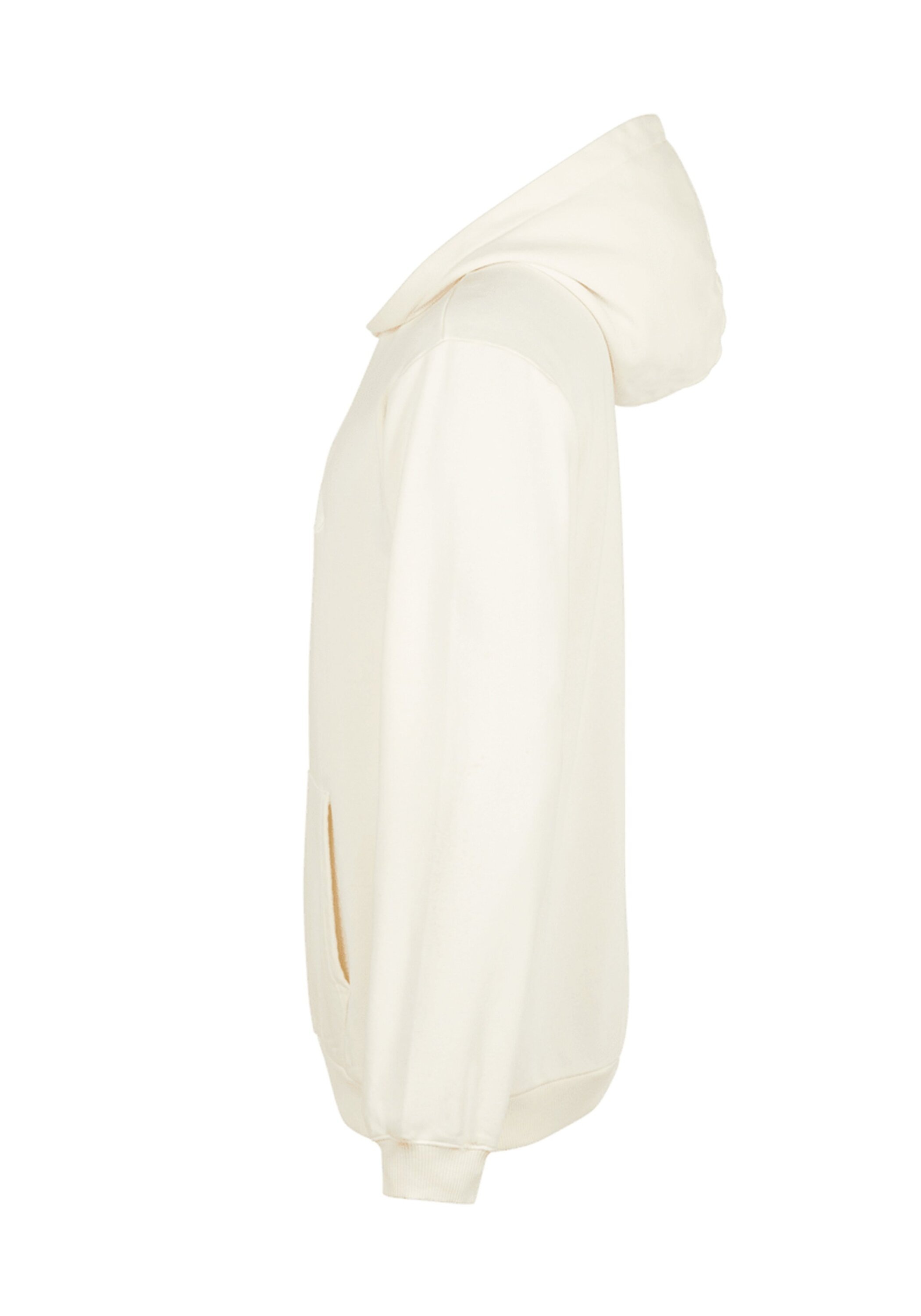 Fila Sweatshirt »Sweatshirt BISCHKEK hoody«