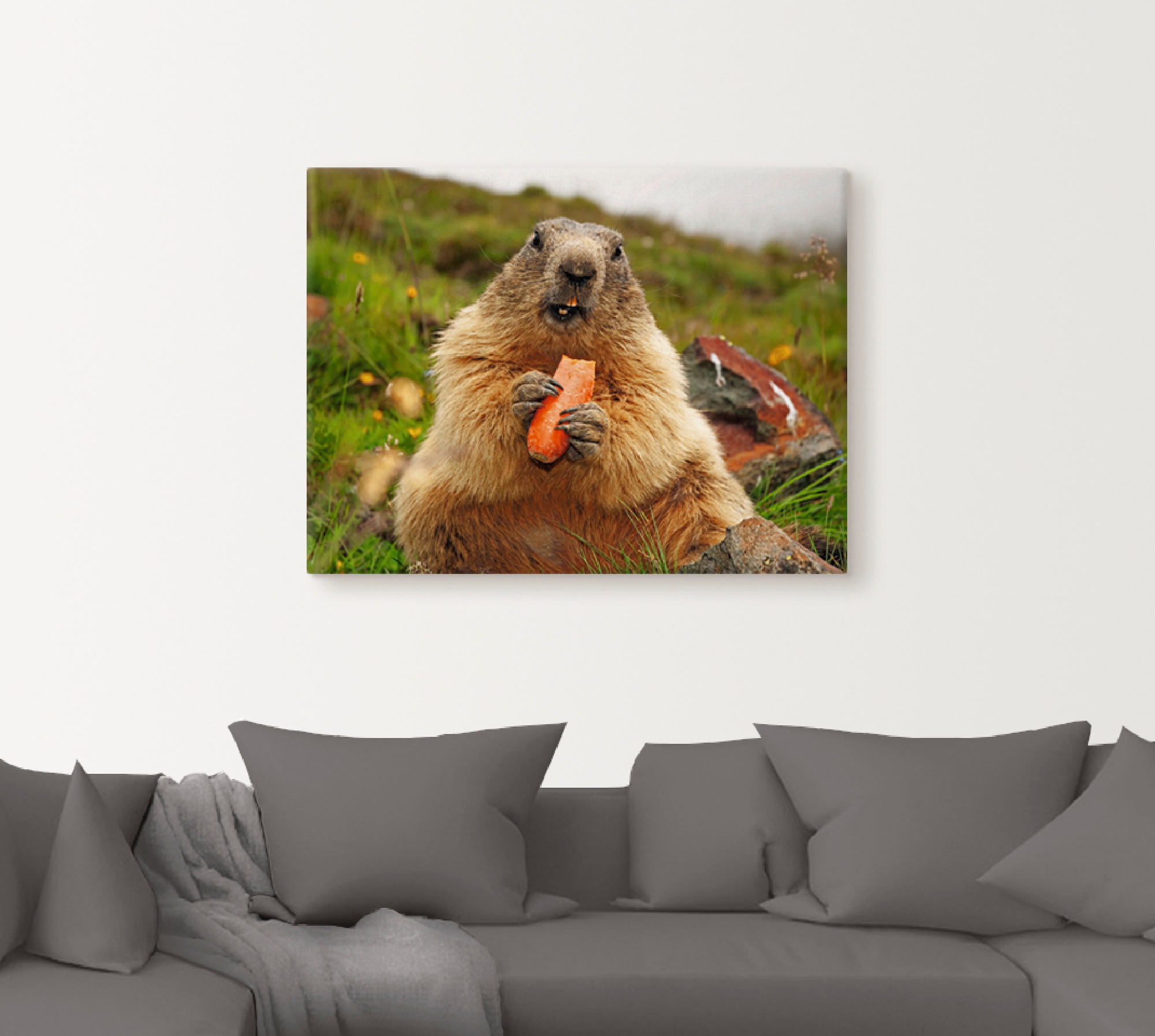Artland Wandbild »Murmeltier«, Wildtiere, (1 St.), als Leinwandbild, Poster in verschied. Größen
