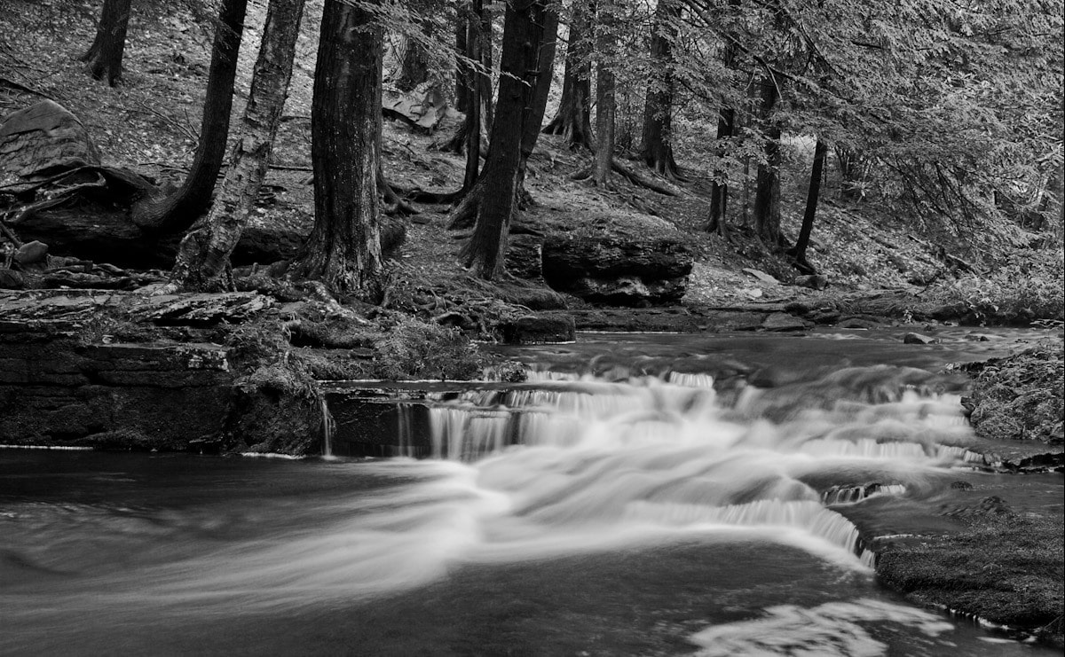 Papermoon "Wasserfall Schwarz & Weiß"