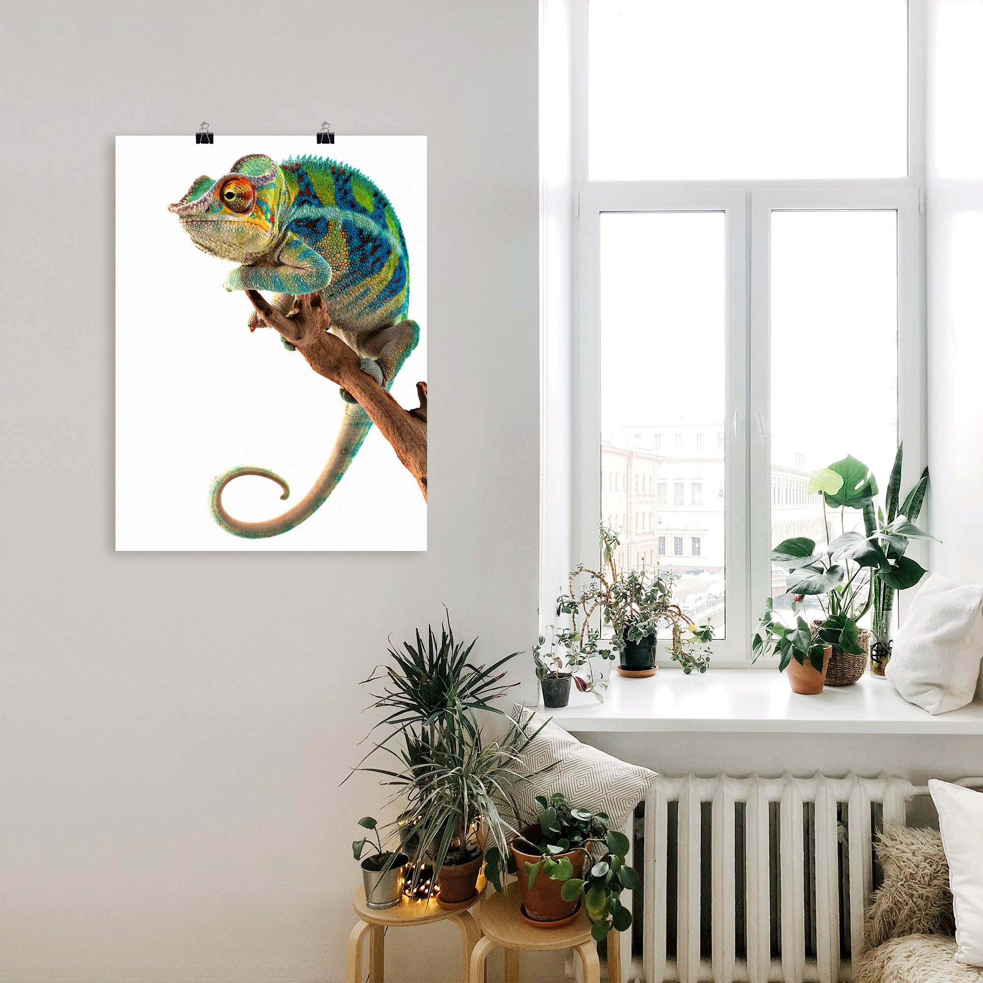 Black Friday Größen BAUR | St.), (1 Alubild, Leinwandbild, »Ambanja Wandbild als in oder Artland Wandaufkleber versch. Reptilien, Chamäleon«, Panther Poster