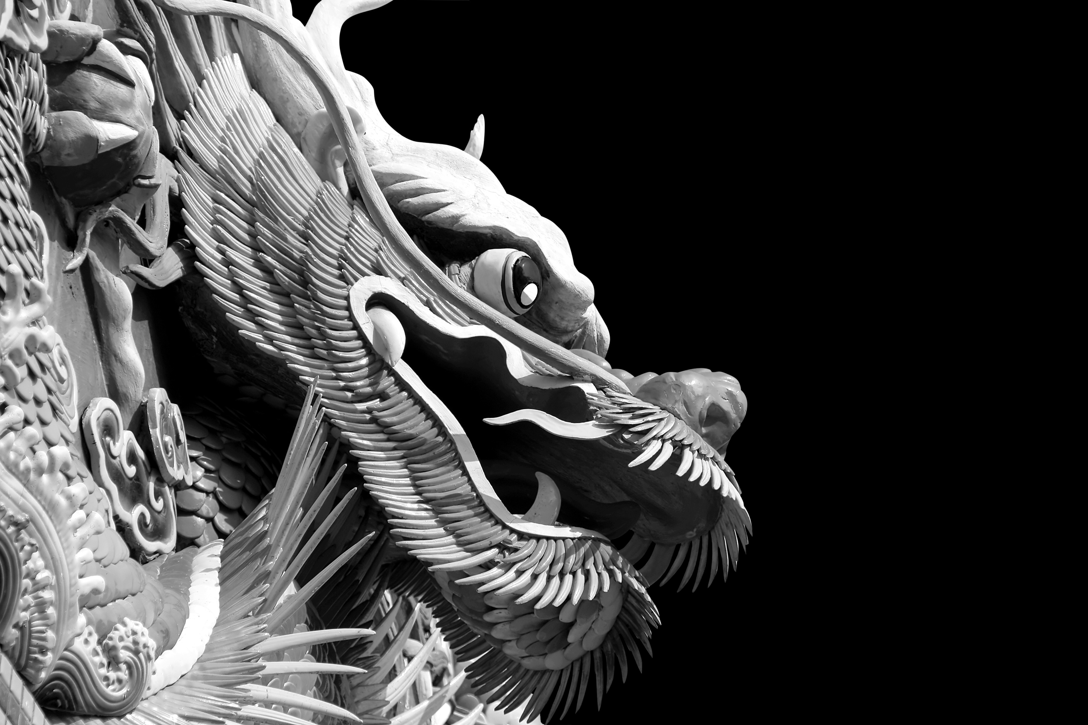 Papermoon Fototapete "Chinesischer Drache Schwarz & Weiß"