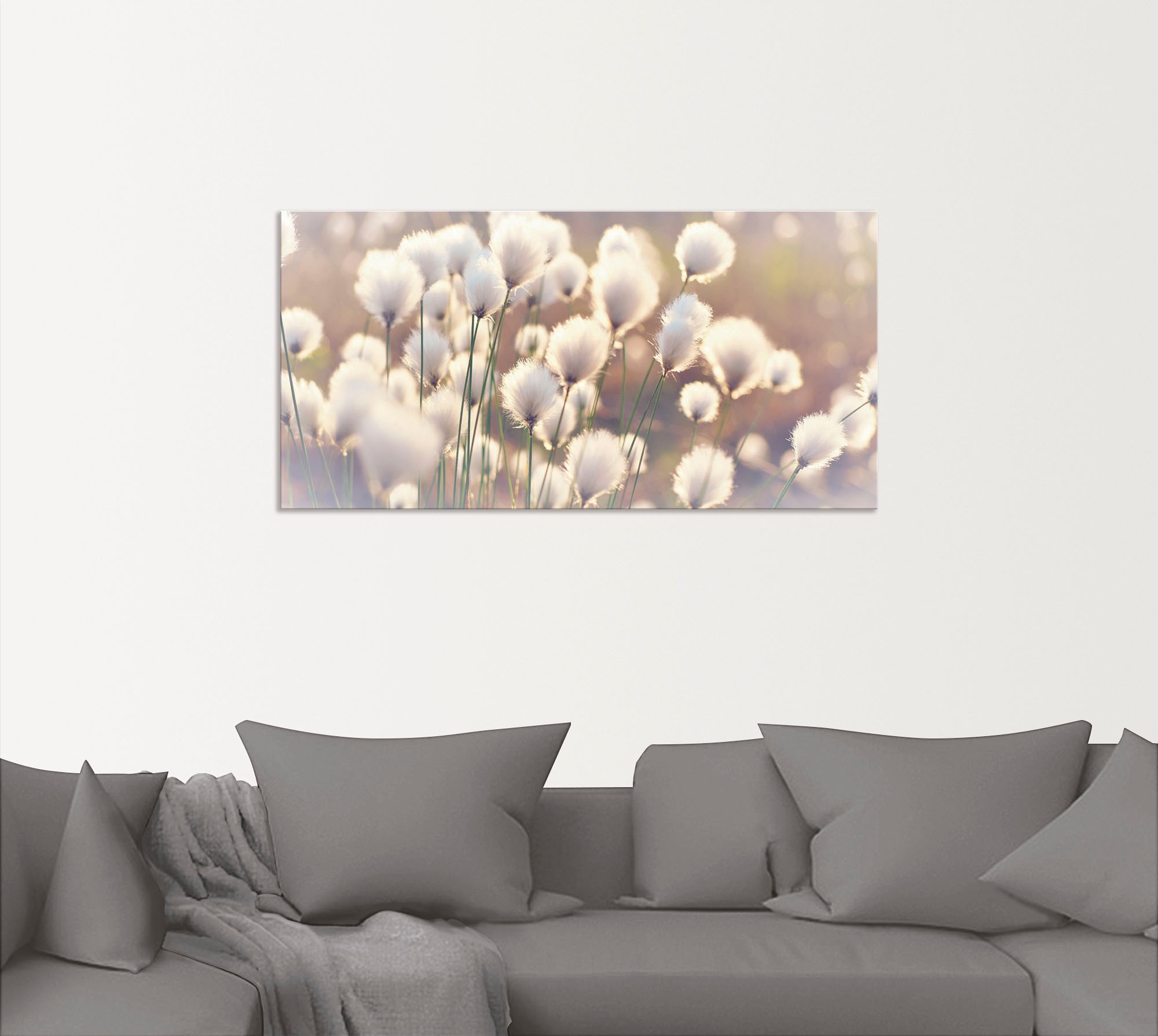 Artland Wandbild "Wollgraszauber im Moor" Gräser 1 Stk. tlg. als Alubild, L günstig online kaufen