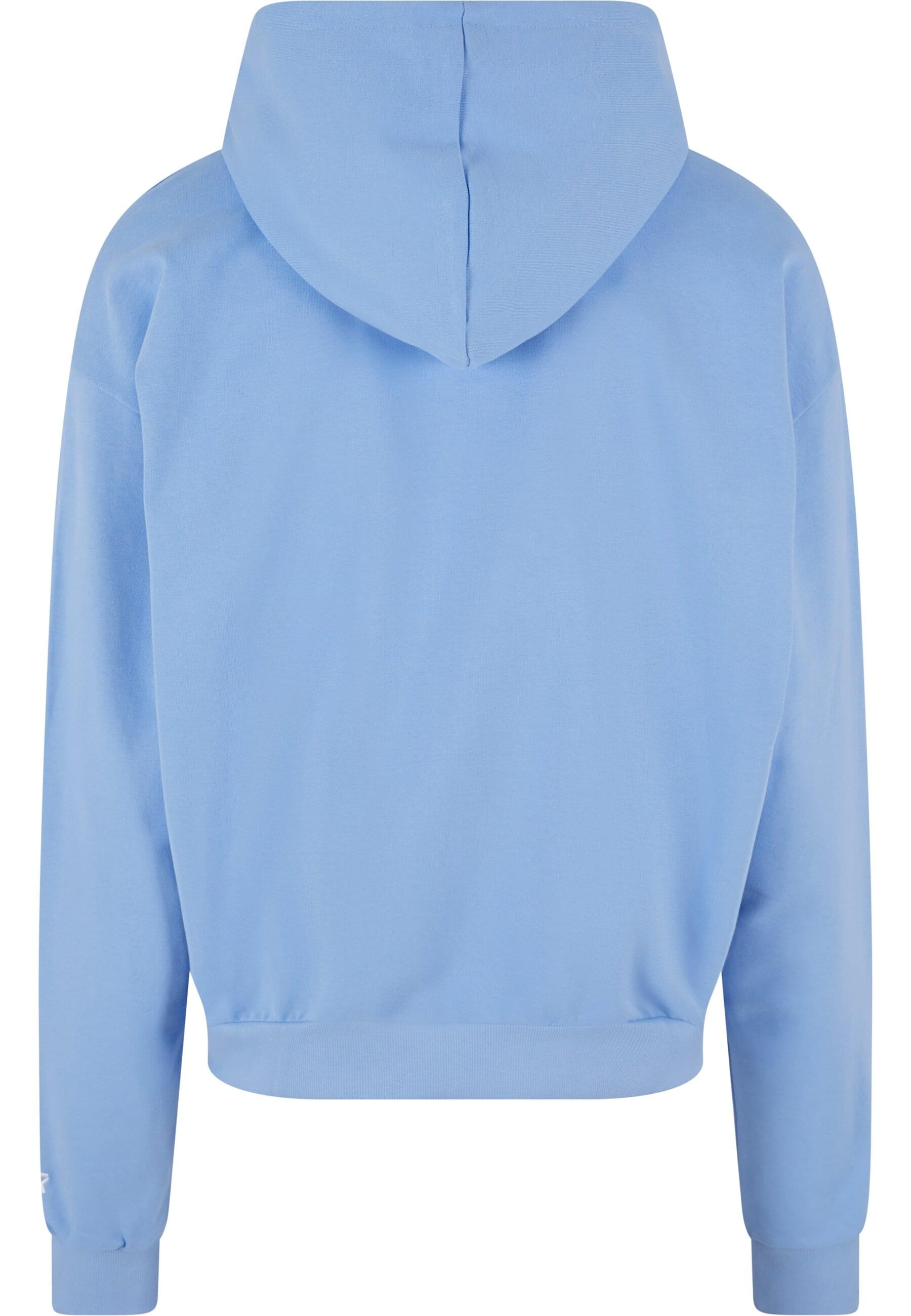 Starter Black Label Kapuzensweatshirt "Starter Black Label Herren Starter E günstig online kaufen