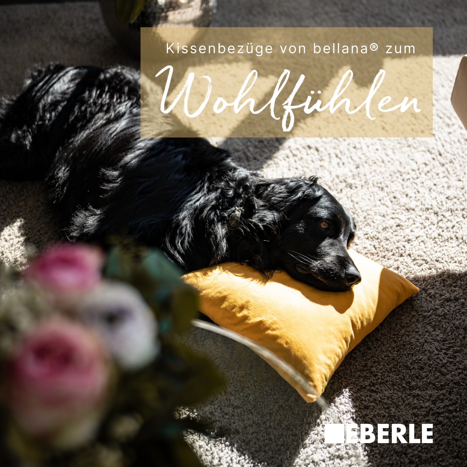 bellana Kissenbezug "Mako-Jersey-Exclusiv" aus reiner Baumwolle günstig online kaufen