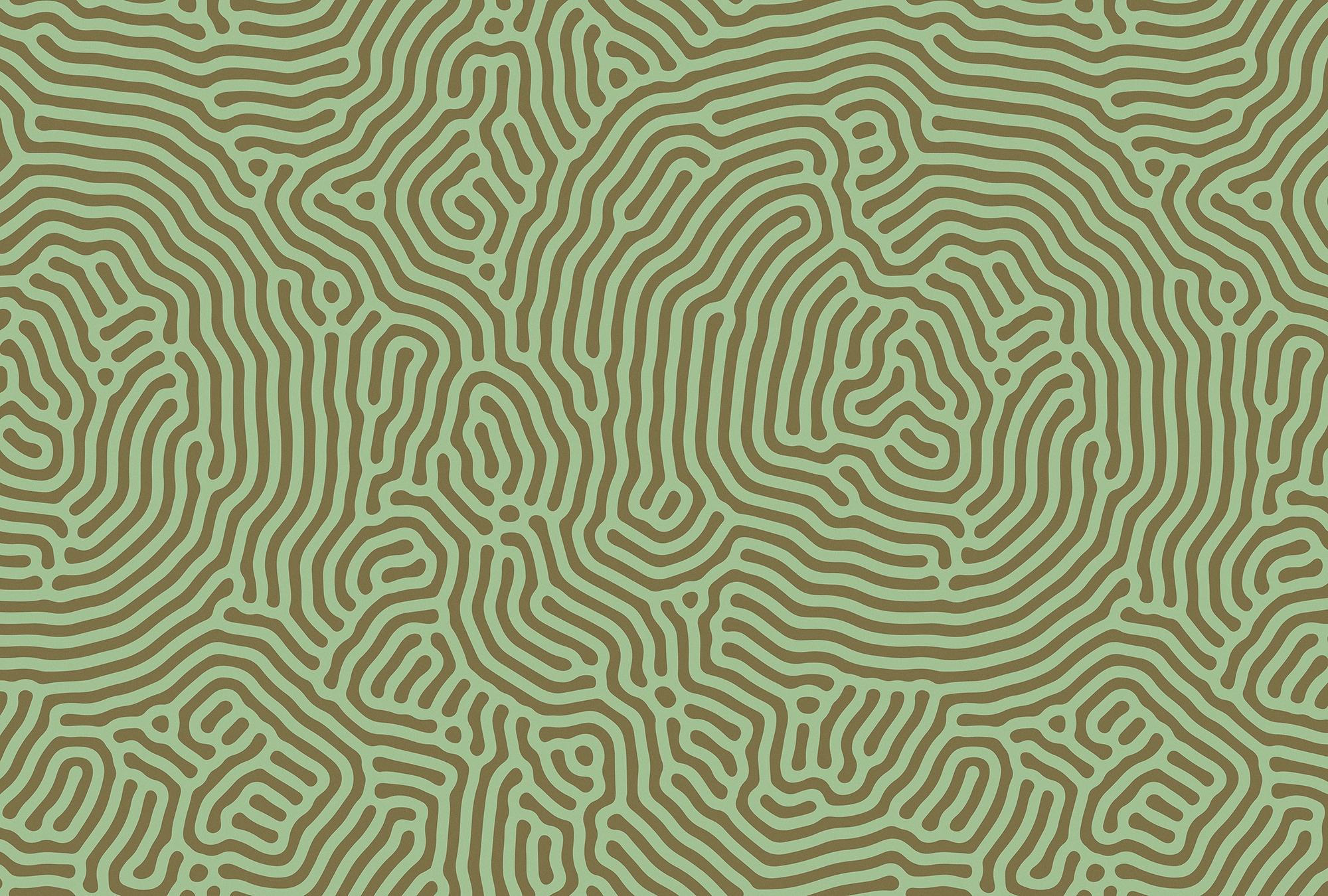 living walls Fototapete "Walls by Patel Sahel" glatt Vlies, Wand günstig online kaufen