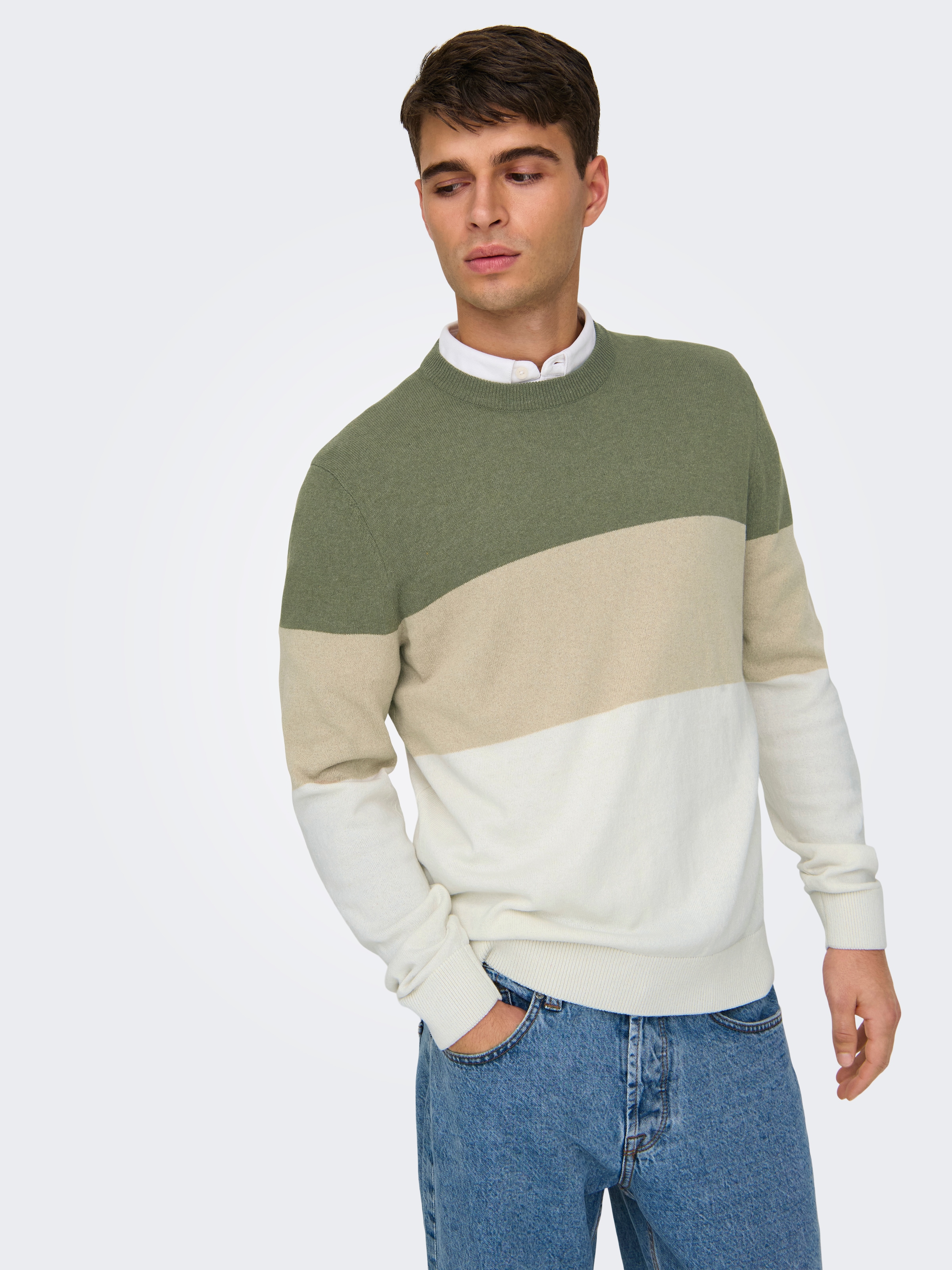 ONLY & SONS Rundhalspullover »ONSREX LIFE REG 12 CREW KNIT«