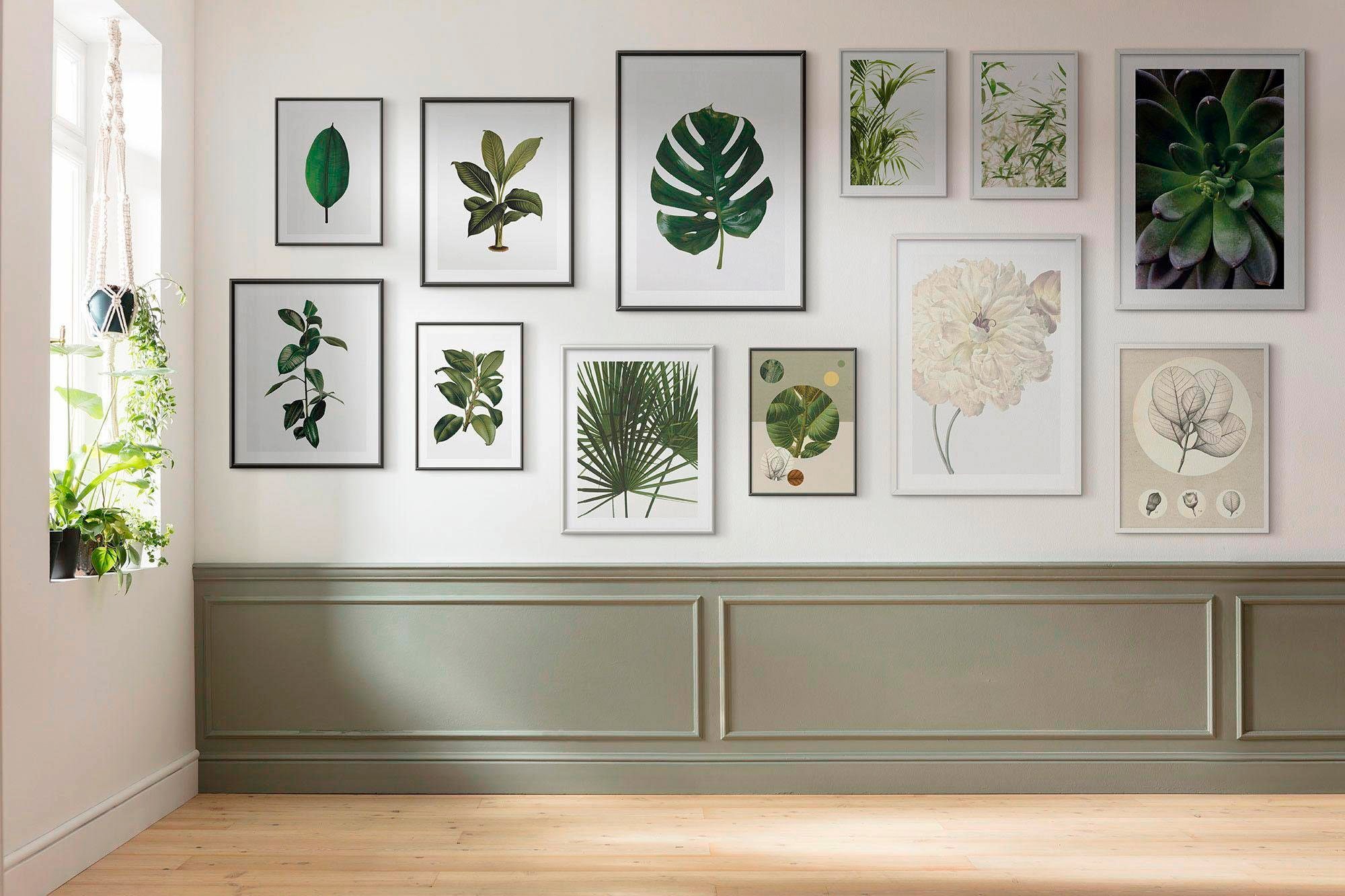Komar Bild "Monstera Leaf" Blätter Pflanzen 1 Stk. tlg. Wandbild zur Dekoration - ohne Rahmen
