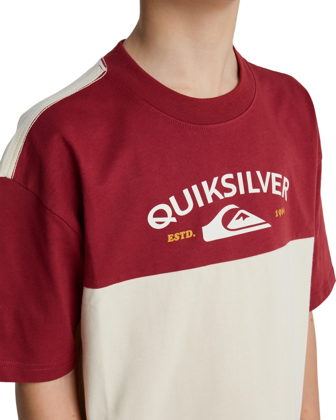 Quiksilver T-Shirt »Knowledge Aera«
