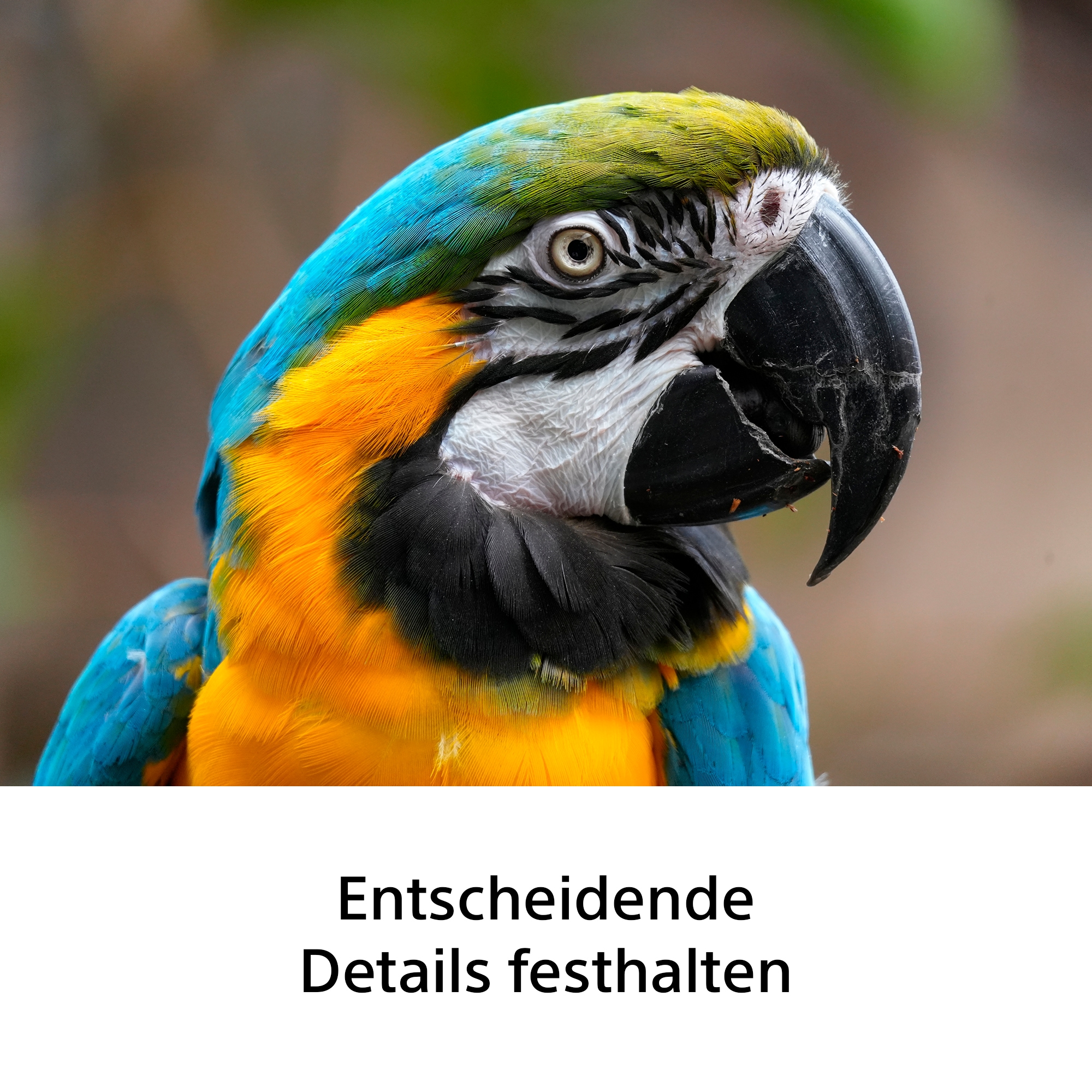 Sony »SEL100400« Sony SEL100400B, FE 100–400 mm F5.6-8 OSS Vollformat-Objektiv