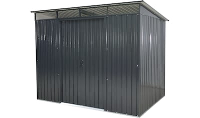 Gerätehaus »Multi Shed XL Skylight«, Metall