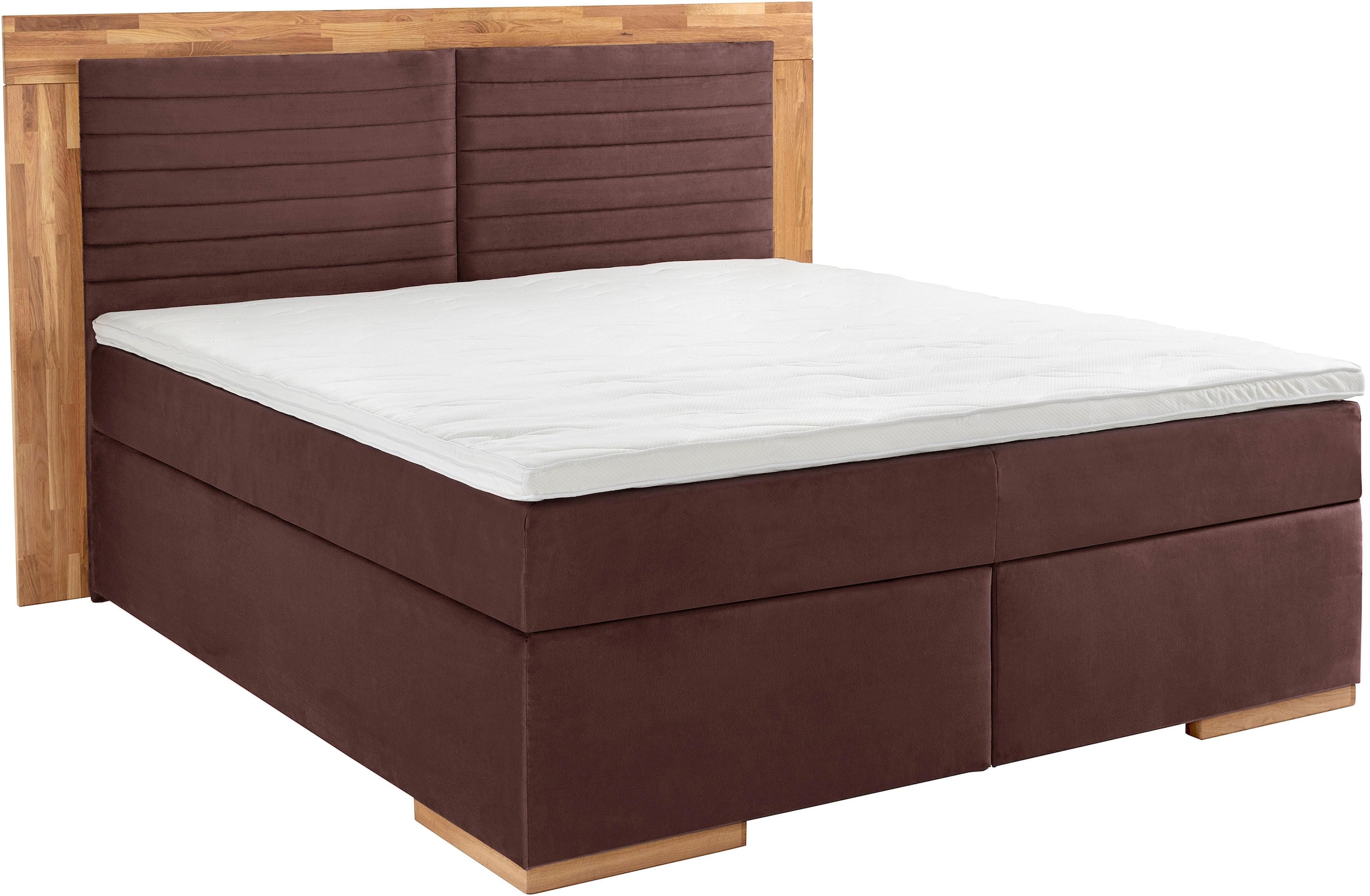 Boxspringbett HOME AFFAIRE "Cup", braun, B:210cm L:206cm, Bezug: Luxus-Microfaser (100% Polyester);Bezug: Microfaser (100% Polyester), Komplettbetten, Boxspringbett, mit Massivholzrahmen, mit Topper, in 2 Härtegraden, in 3 Breiten 6