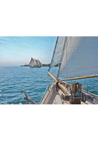 Komar Fototapetas »Sailing« 368x254 cm (Brei...