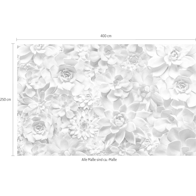 Komar Vliestapete »Shades Black and White«, 400x250 cm (Breite x Höhe),  Vliestapete, 100 cm Bahnbreite per Rechnung | BAUR