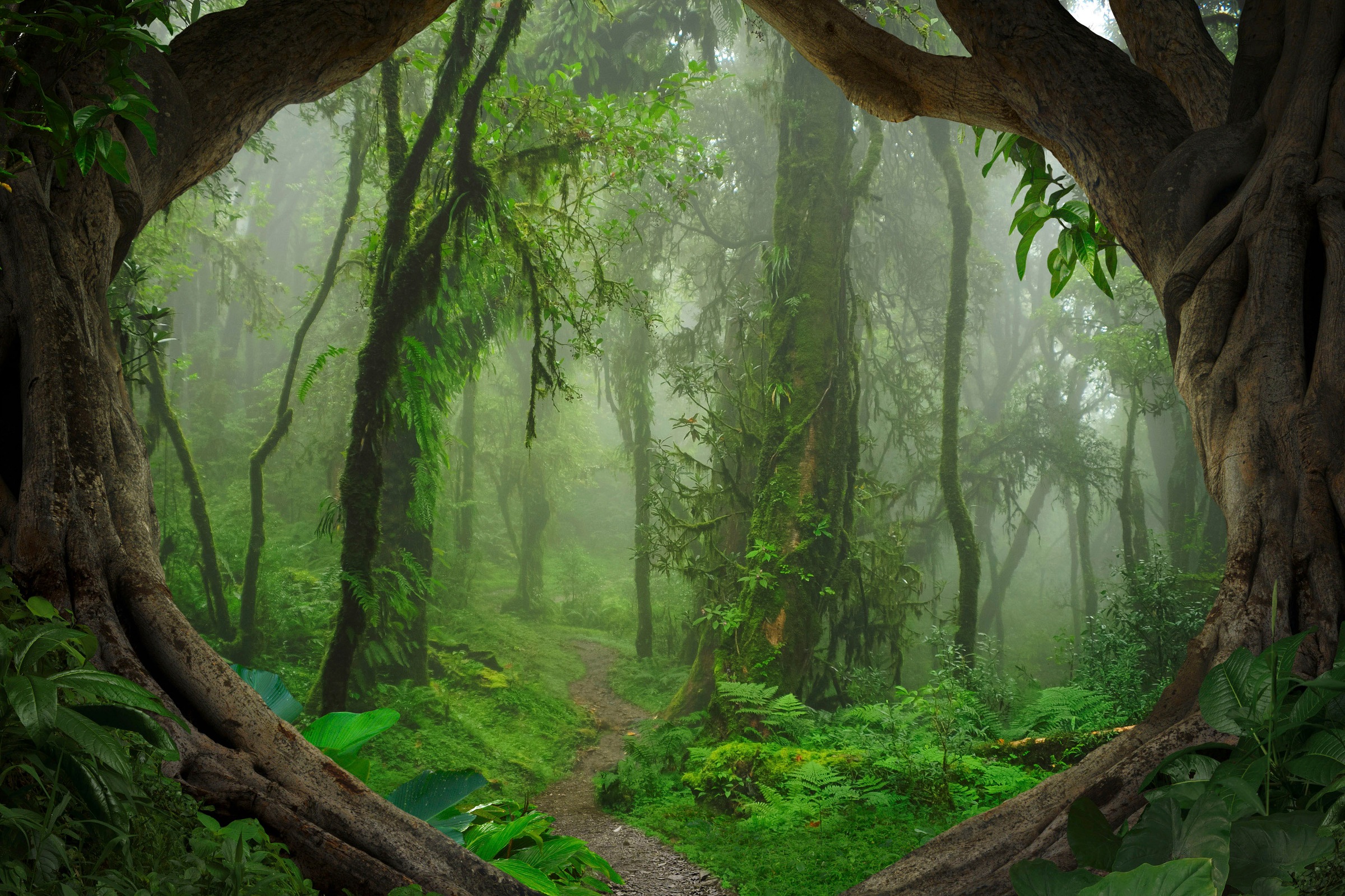 A.S. Création Leinwandbild »Tropical Forest«, Kunst-Gemälde-Kinder, (1 St.), Tropischer Wald Keilrahmen Natur Leinwand-Bild Wohnzimmer modern Wand