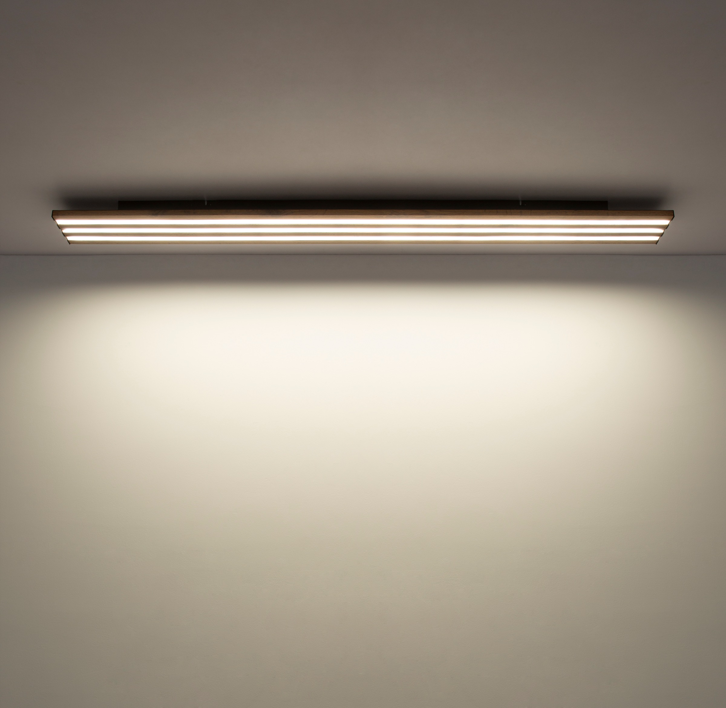 GLOBO LIGHTING Deckenleuchte »HAYDEN« LED-Modul 1 Stk. Schwarze LED-Deckenleuchte, dimmbar, smart, Fernbedienung & Nachtlicht