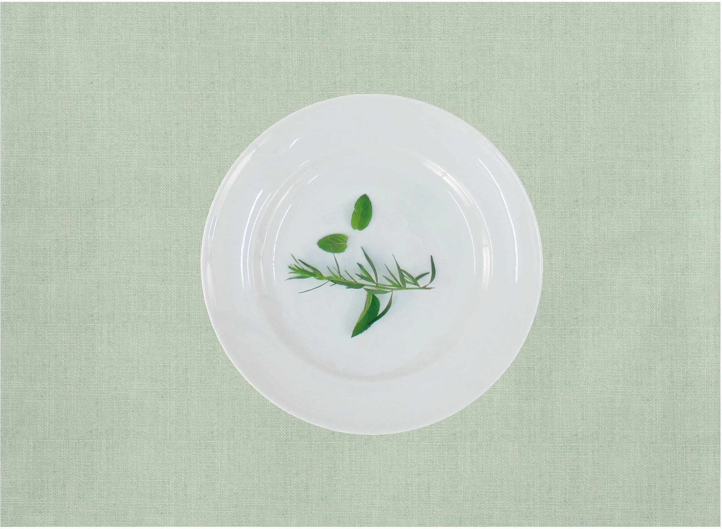 APELT Platzset "Arizona, Uni-Basic" Leinenoptik günstig online kaufen