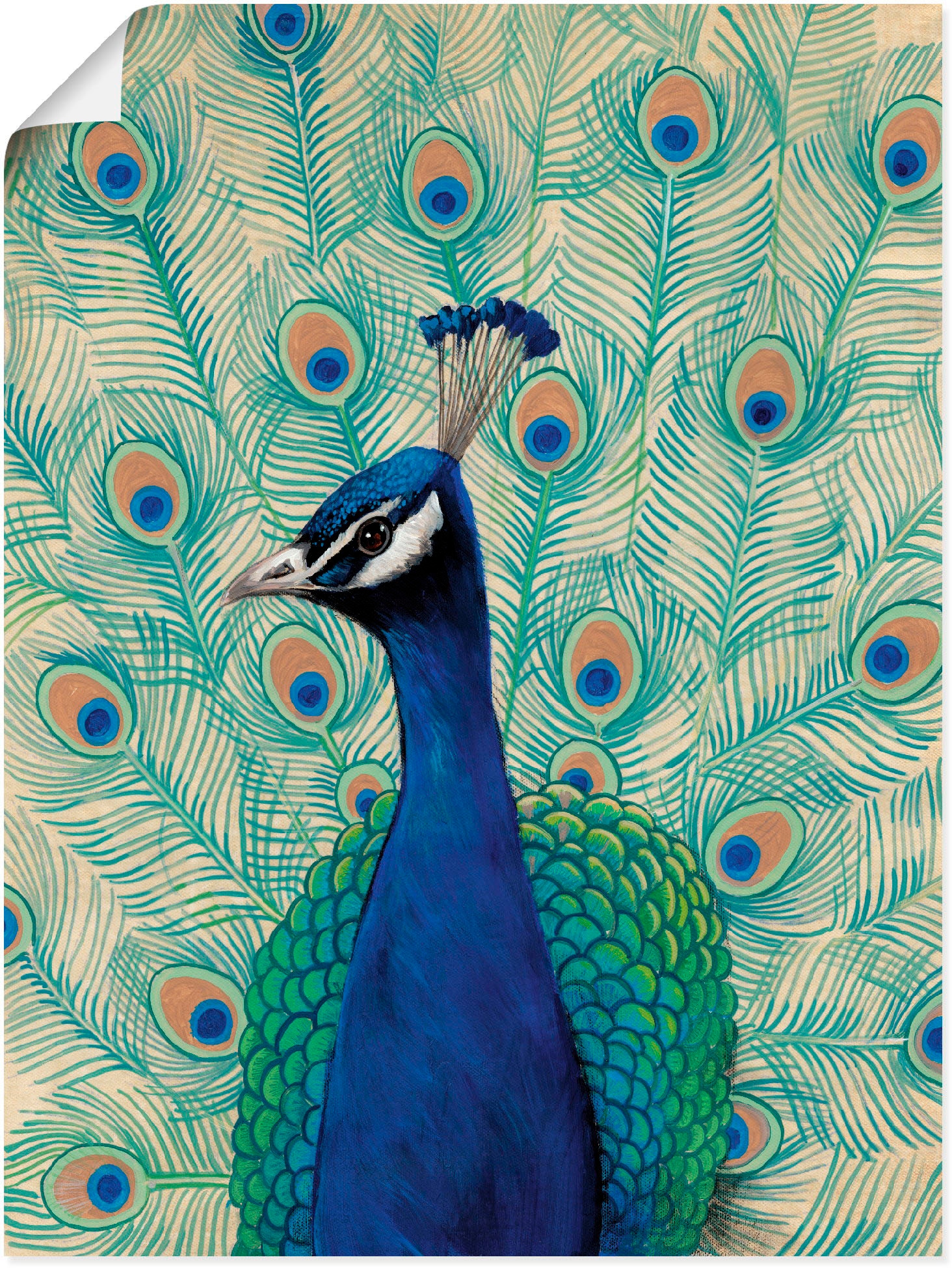 Artland Wandbild »Blauer Pfau Wandaufkleber St.), | oder (1 in Vögel, Alubild, kaufen Größen Poster II«, Leinwandbild, versch. BAUR als