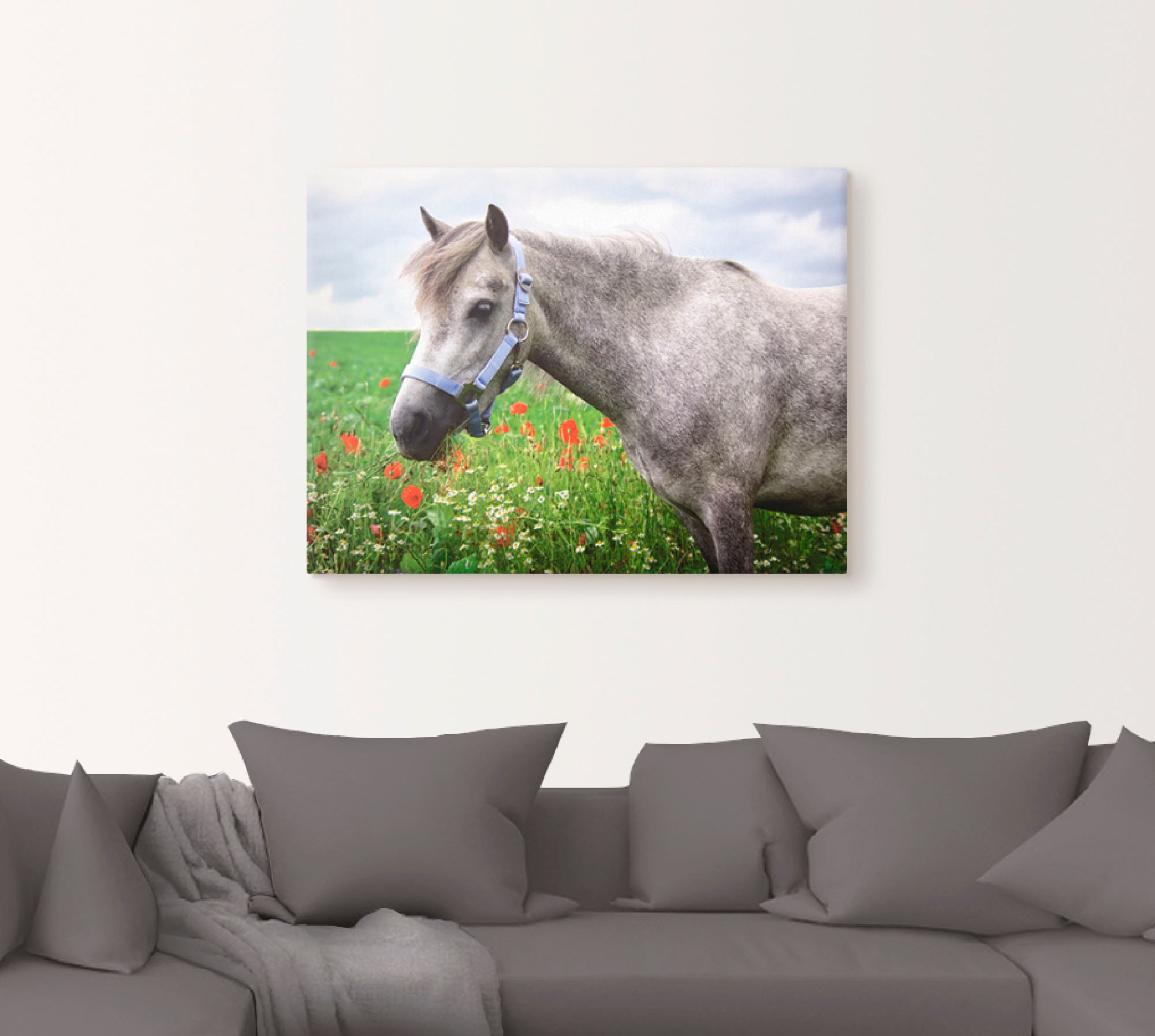 Artland Wandbild "Welshpony", Haustiere, (1 St.), als Leinwandbild, Wandauf günstig online kaufen