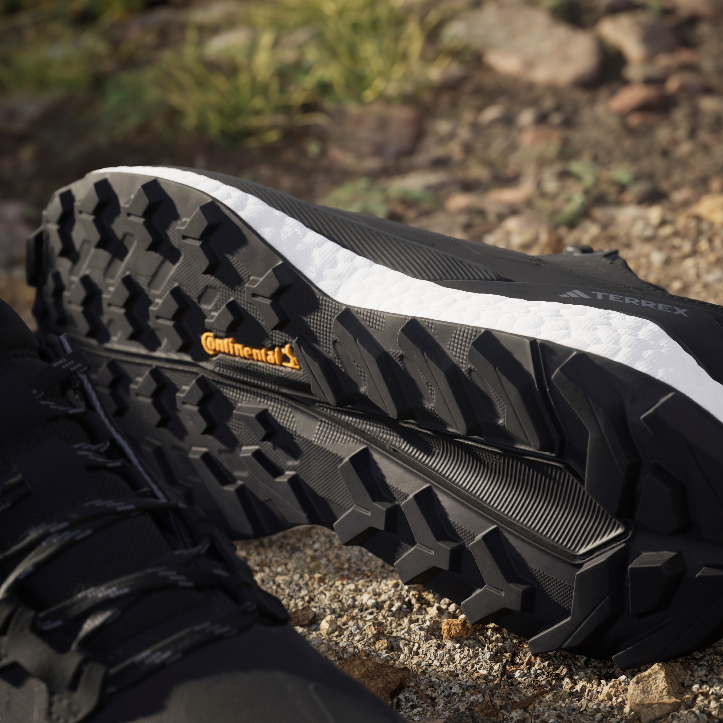 adidas TERREX Wanderschuh »TERREX FREE HIKER 2.0 LOW«