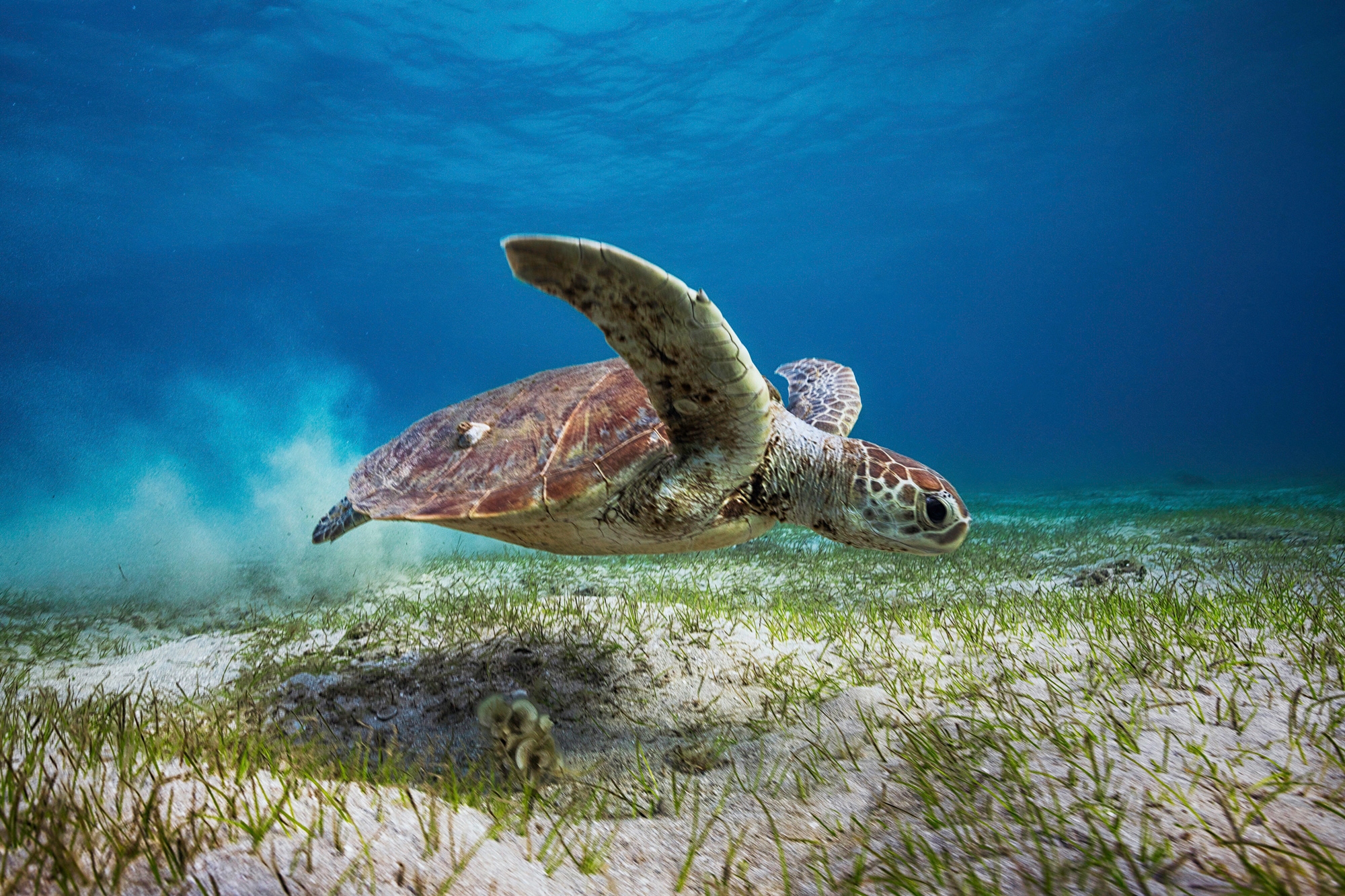Papermoon Fototapete "Photo-Art BARATHIEU GABRIEL, ABHEBEN"