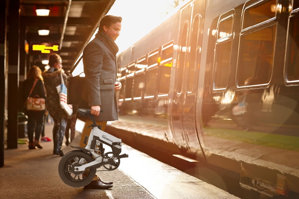 SachsenRad »F12« 1 Gang Shimano keine Schaltwerk ohne Schaltung Heckmotor 250 W LCD-Steuerdisplay, Fahrmodus Pedelec, 
LED-Frontlicht, LED Rücklicht