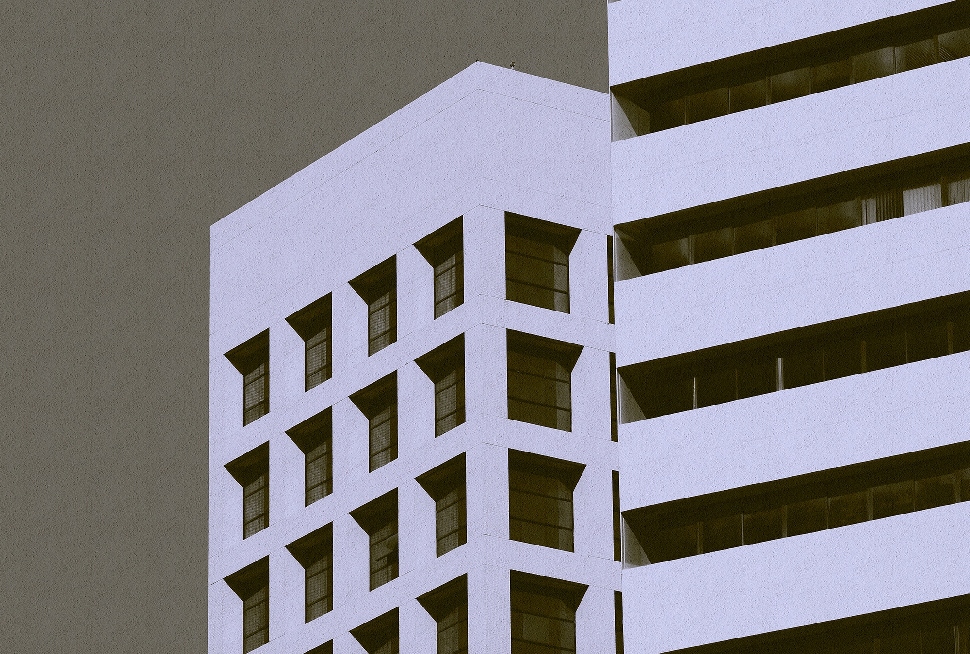 living walls Fototapetas »Walls by Patel Skyscraper...
