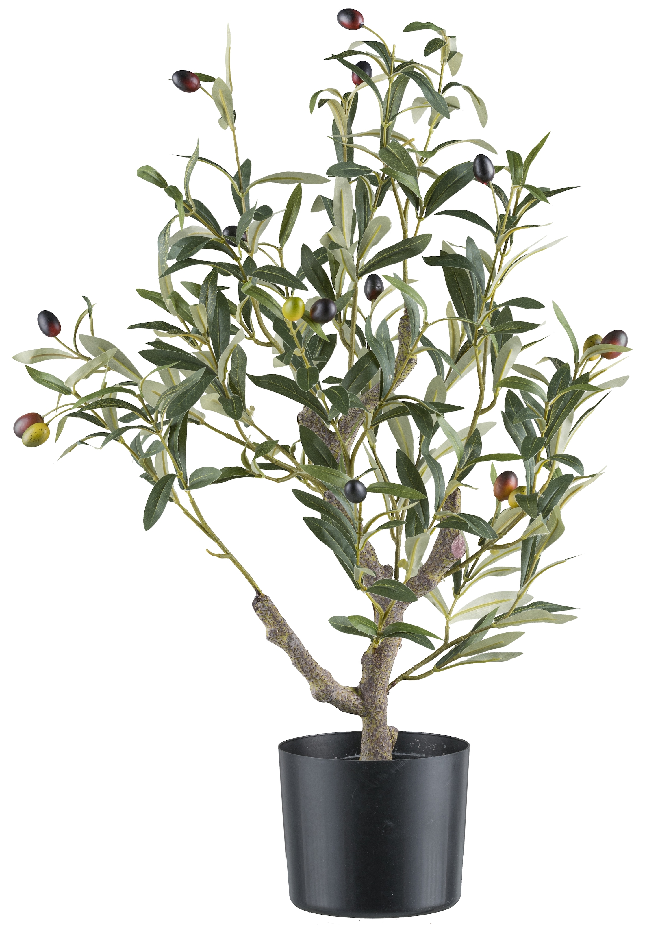 Creativ green Kunstpflanze "Olive", mit detailgetreuer Gestaltung günstig online kaufen