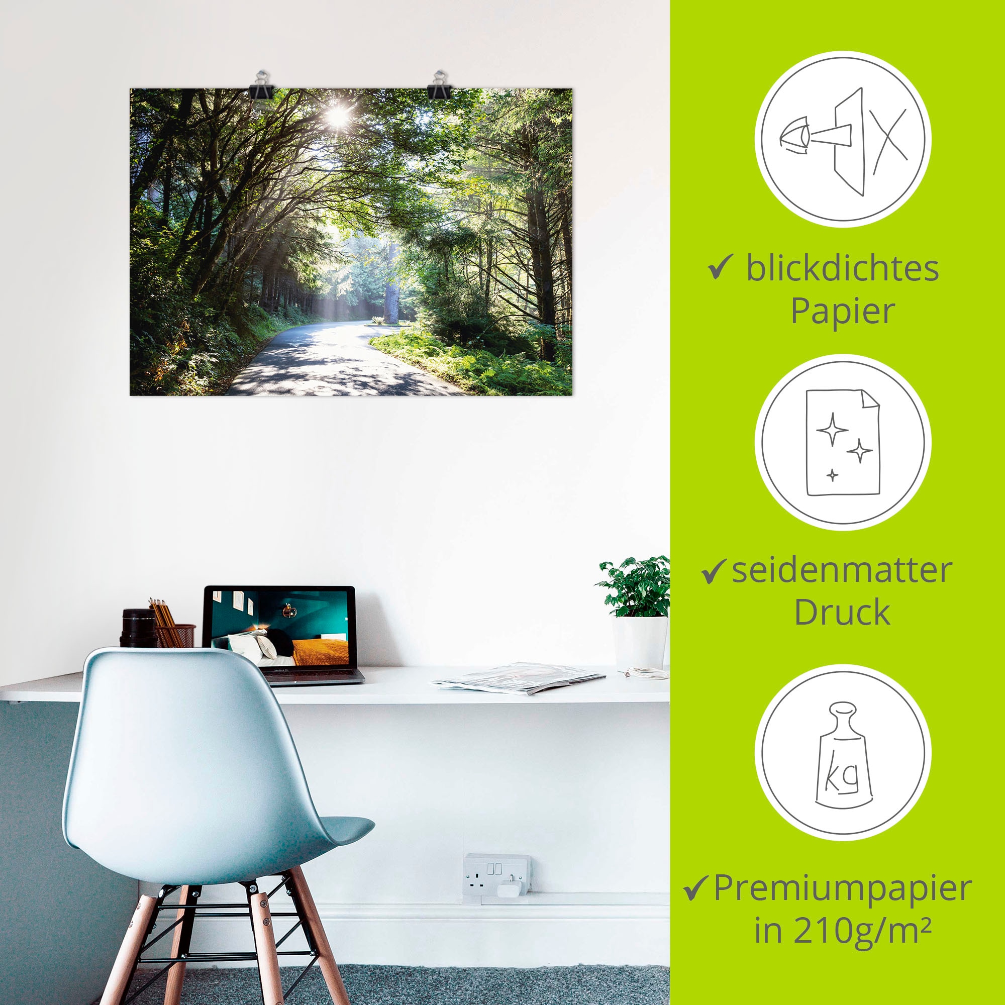 Artland Wandbild »Sonniger Wald« Baumbilder 1 Stk. tlg. als Alubild, Outdoorbild, Leinwandbild, Poster in verschied. Größen