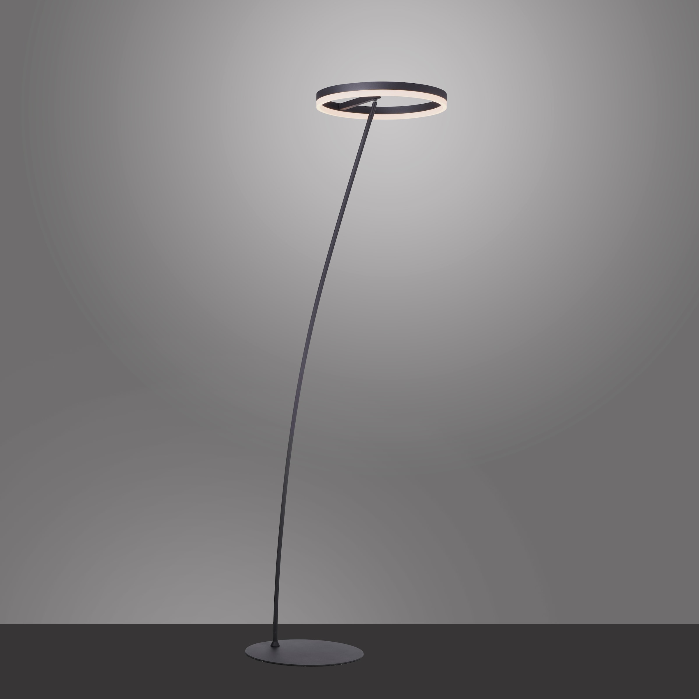 Paul Neuhaus LED Stehlampe »TITUS«