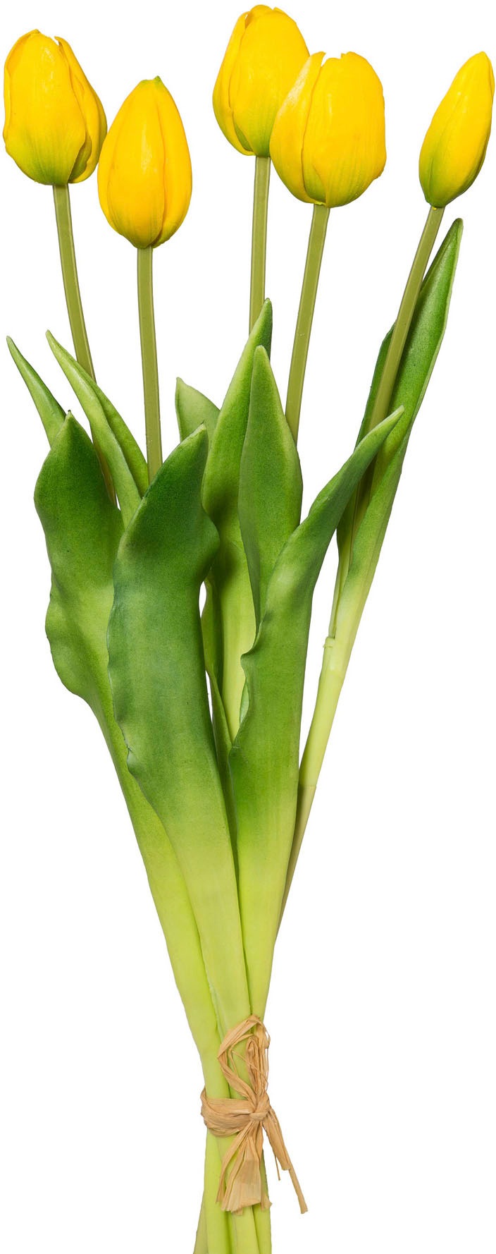 my home Kunsttulpe »Tulpen im Topf«