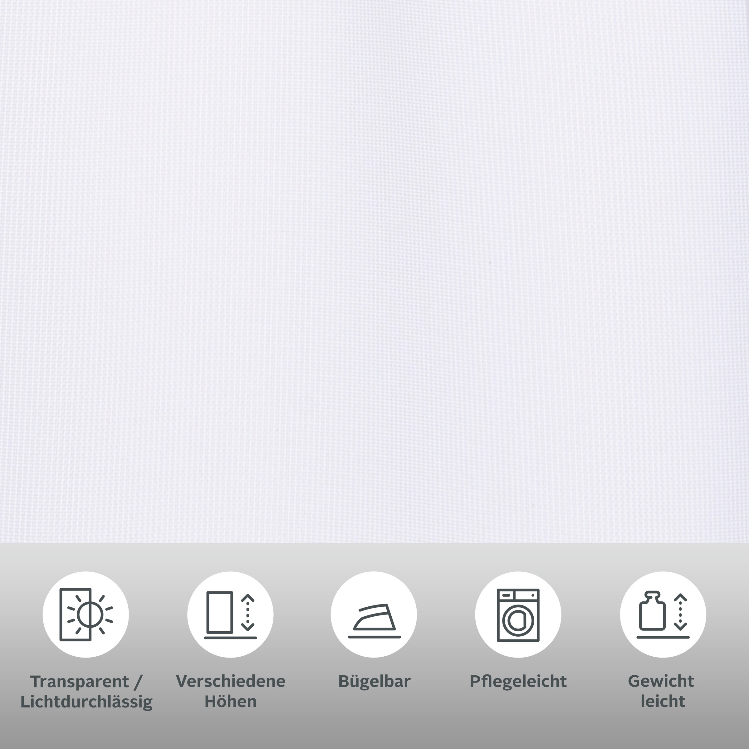 Thumbnail - my home Scheibengardine "Missy" Stangendurchzug 1 Stk. tlg. mit Spitzenbordüre