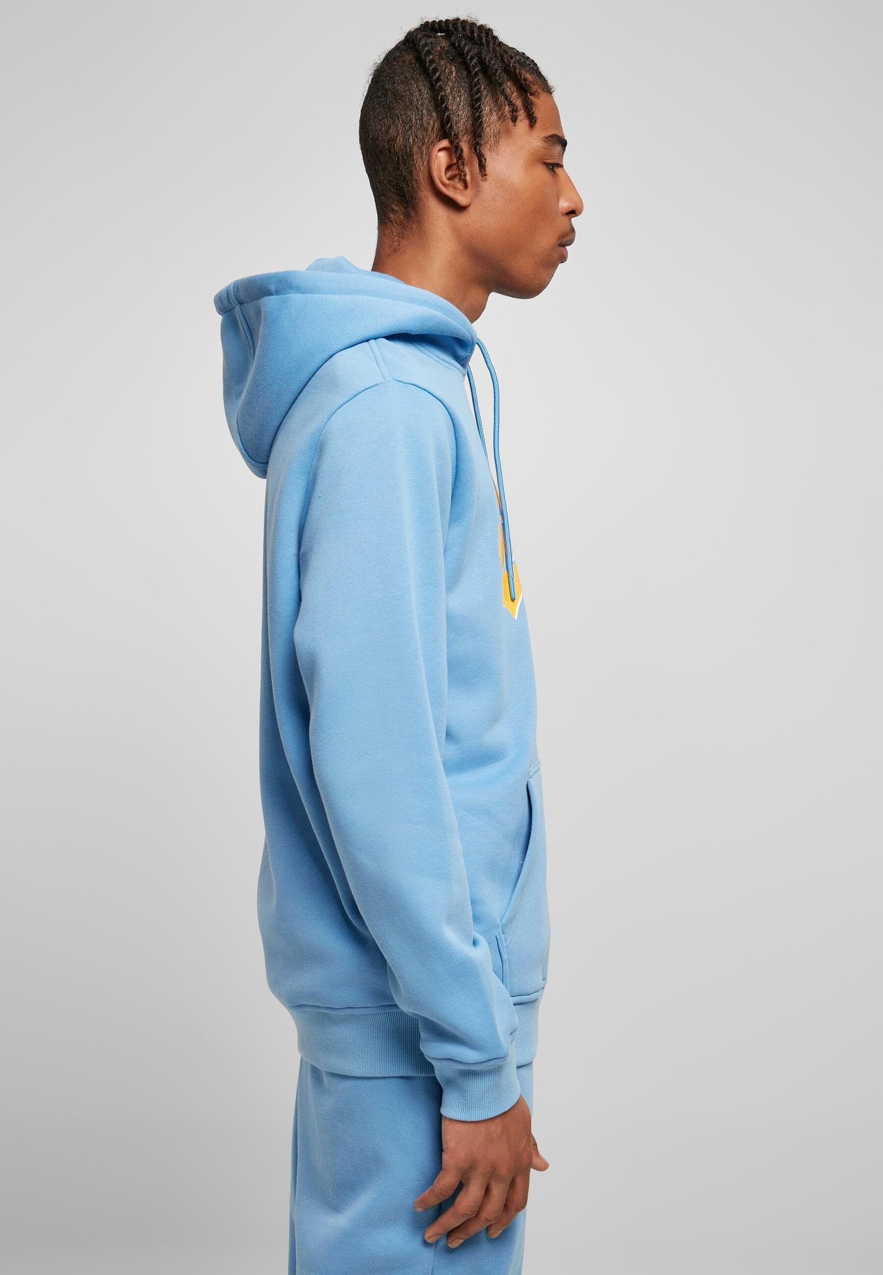 Starter Black Label Kapuzensweatshirt »Starter Black Label Herren Starter Swing Hoody«, (1 tlg.)