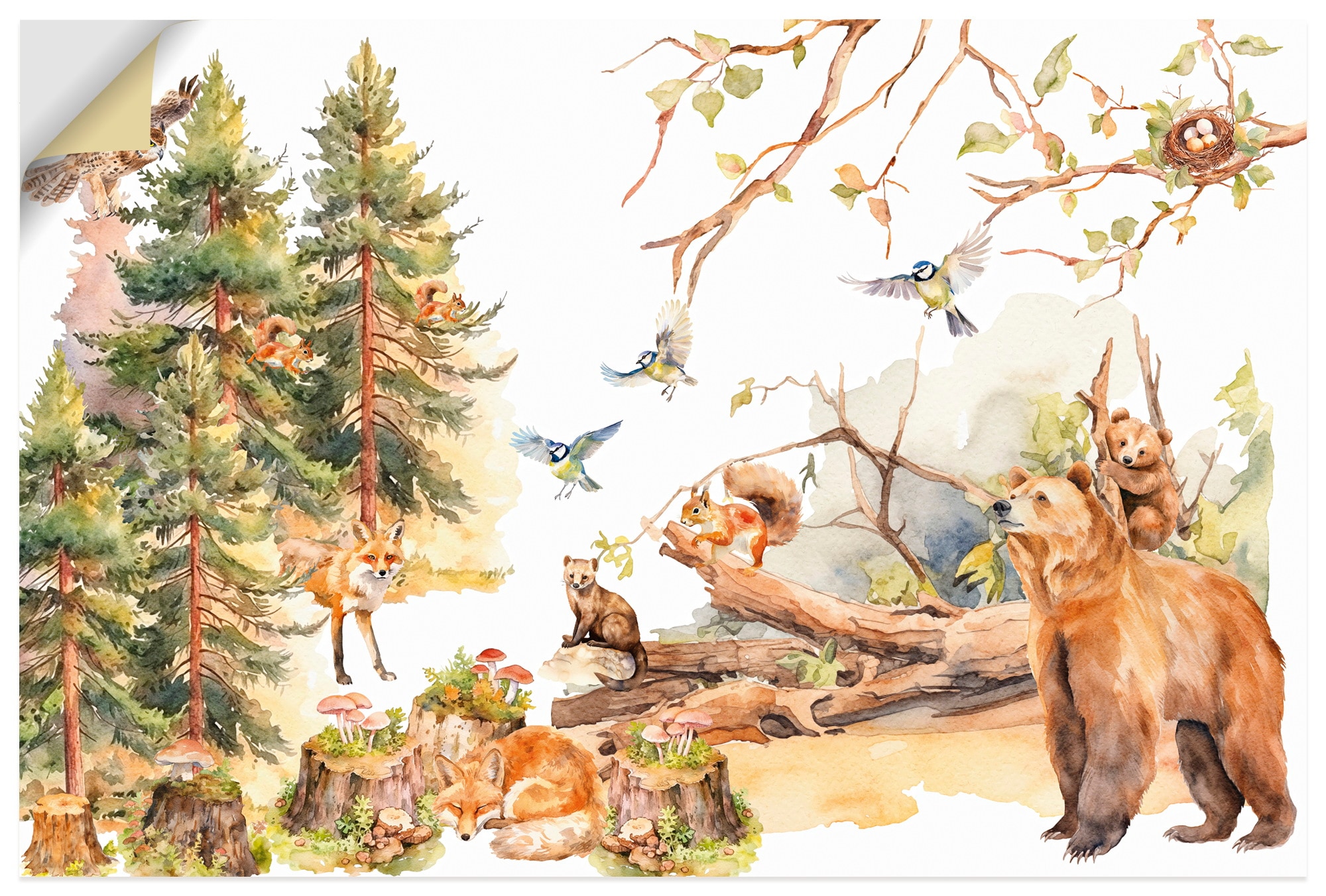 Artland Wandbild "Die Tiere des Waldes" 1 Stk. tlg. als Alubild, Leinwandbild, Poster, Wandaufkleber in verschied. Größen