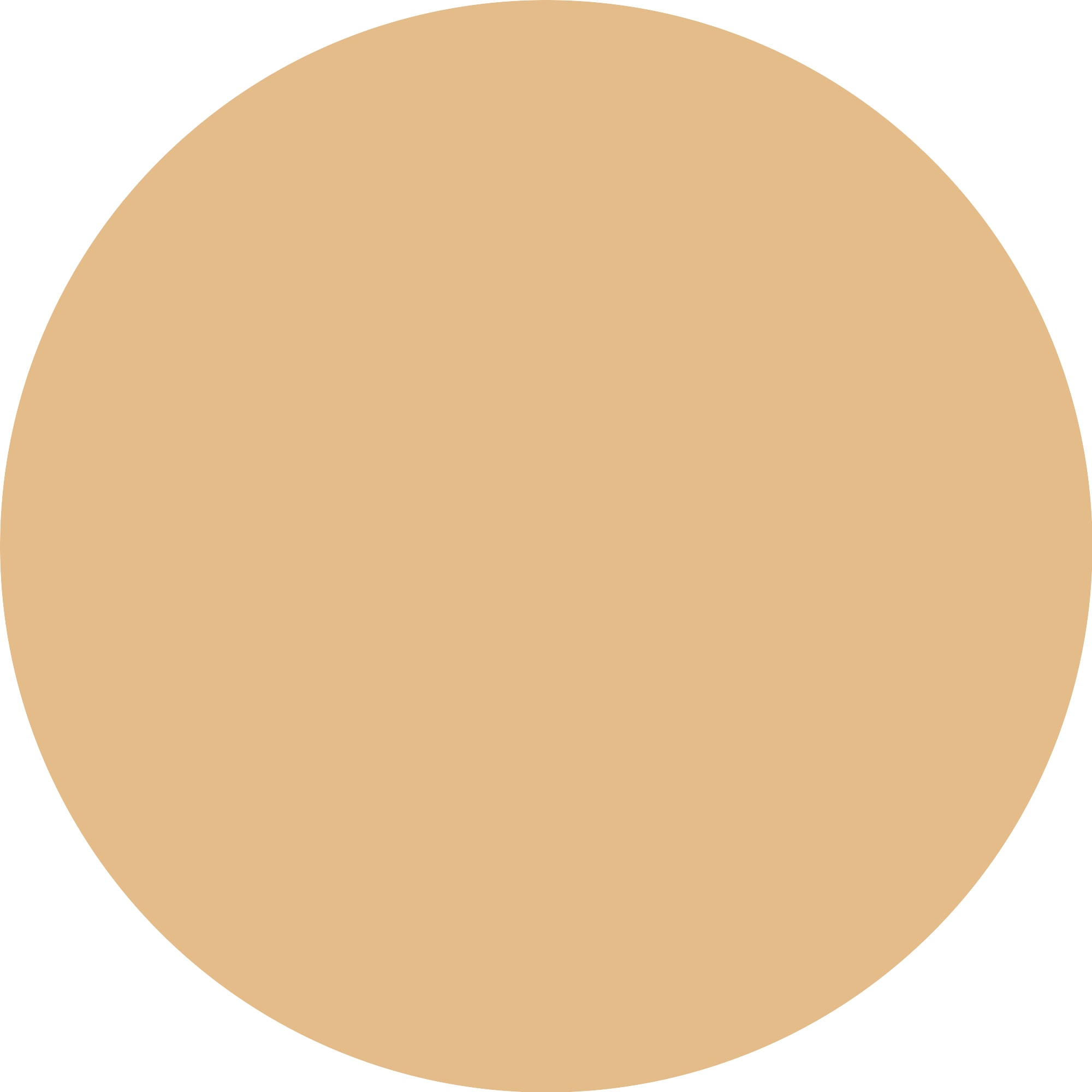 Catrice Primer »Soft Glam Filter Fluid«, (Set), mit Soft-Glam-Filter-Effekt