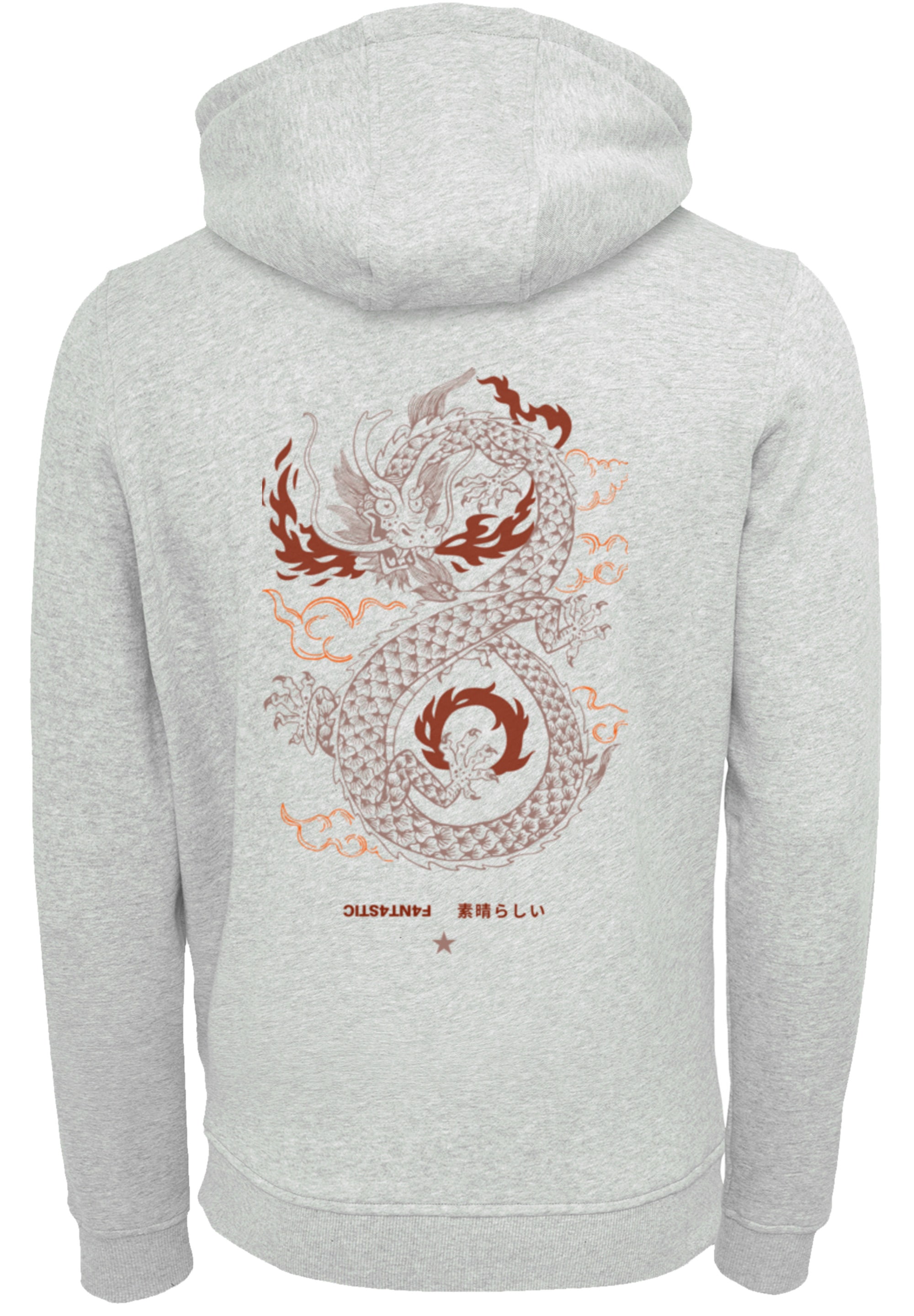 F4NT4STIC Kapuzenpullover »Dragon fire«, Print