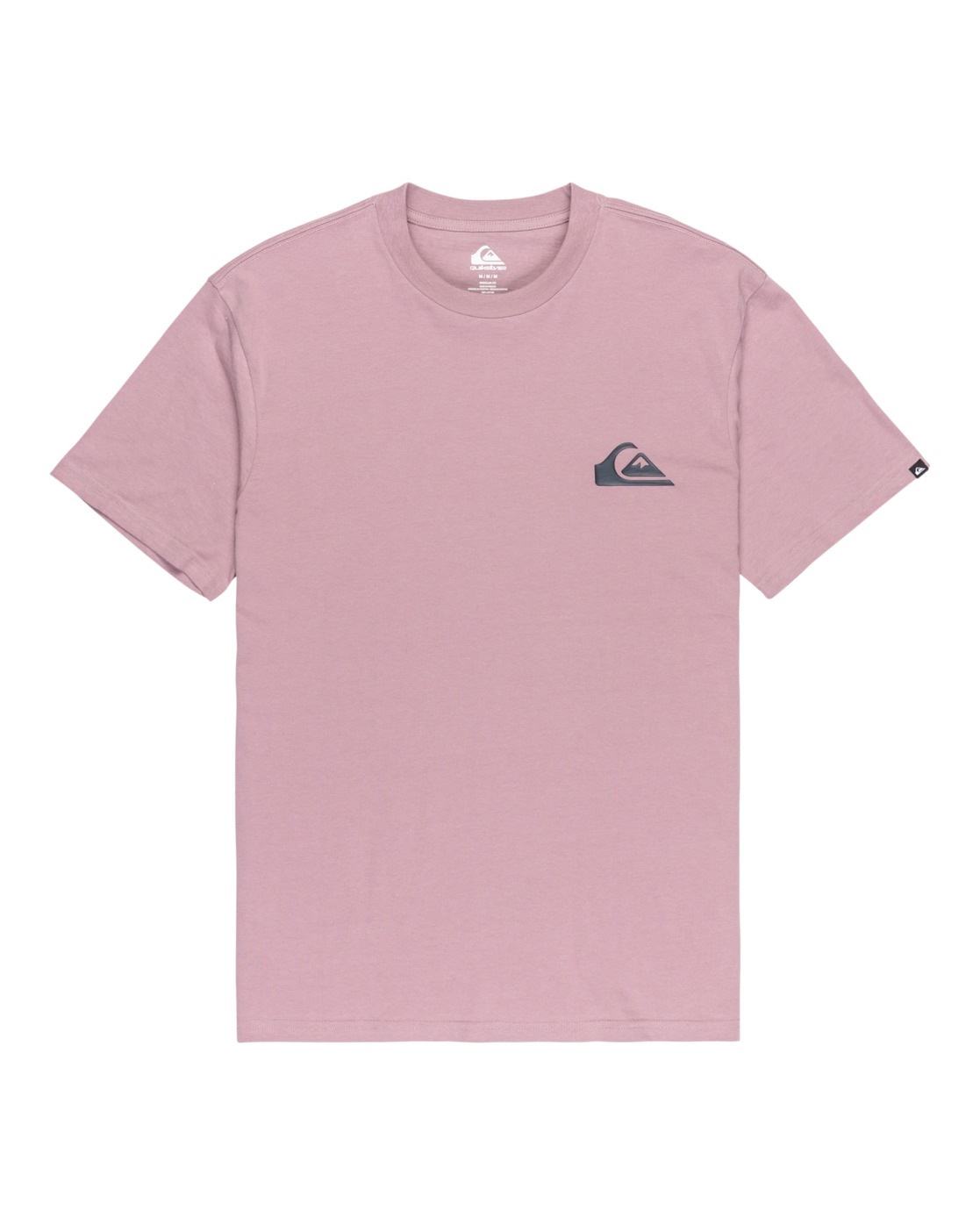 Quiksilver T-Shirt »Ev Mini Logo«