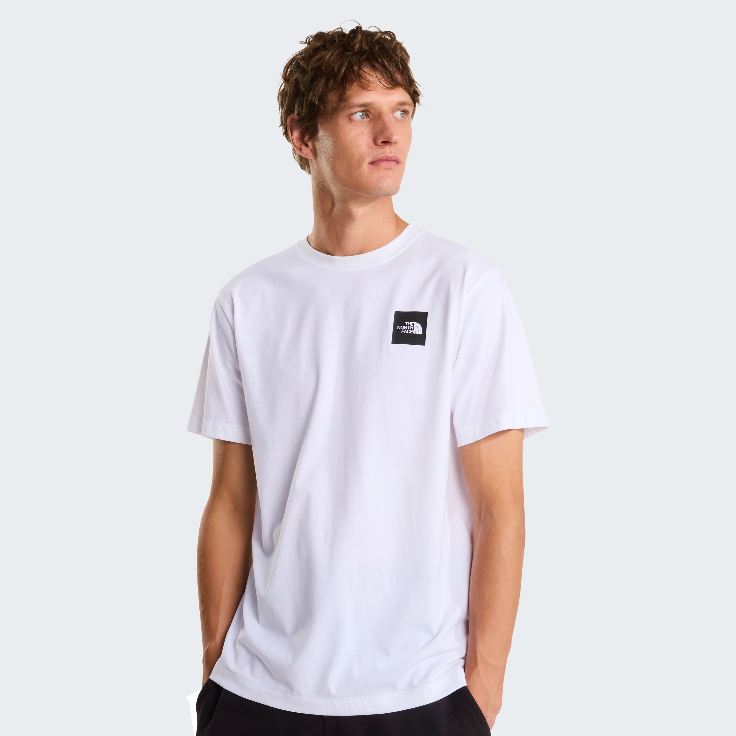 The North Face T-Shirt "M EVOLUTION BOX HALF DOME REGULAR SHORT SLEEVE TEE" günstig online kaufen