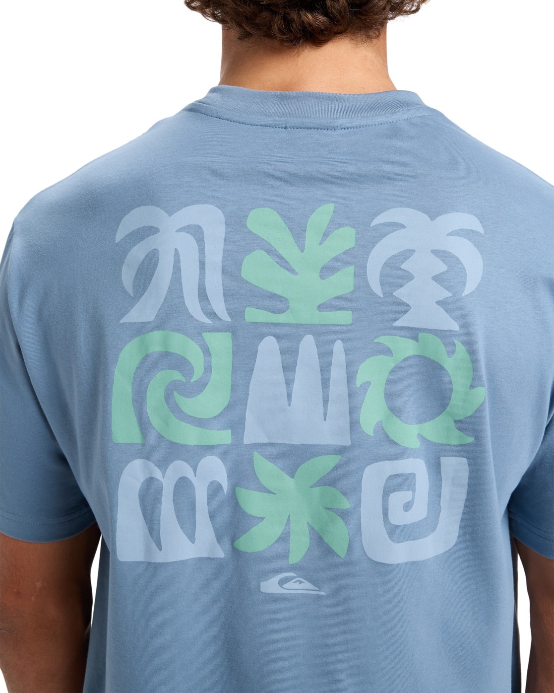 Quiksilver T-Shirt »Pto Sun Flow«