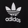adidas Originals Trainingsanzug »ADICOLOR HOODIE«, (2 tlg.)